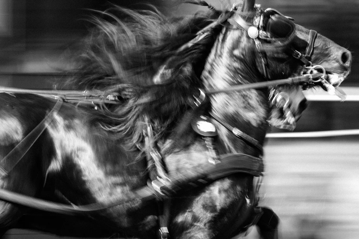 FastnotFurious_bw_website_SheonaAnnPhotography (1 of 1).jpg