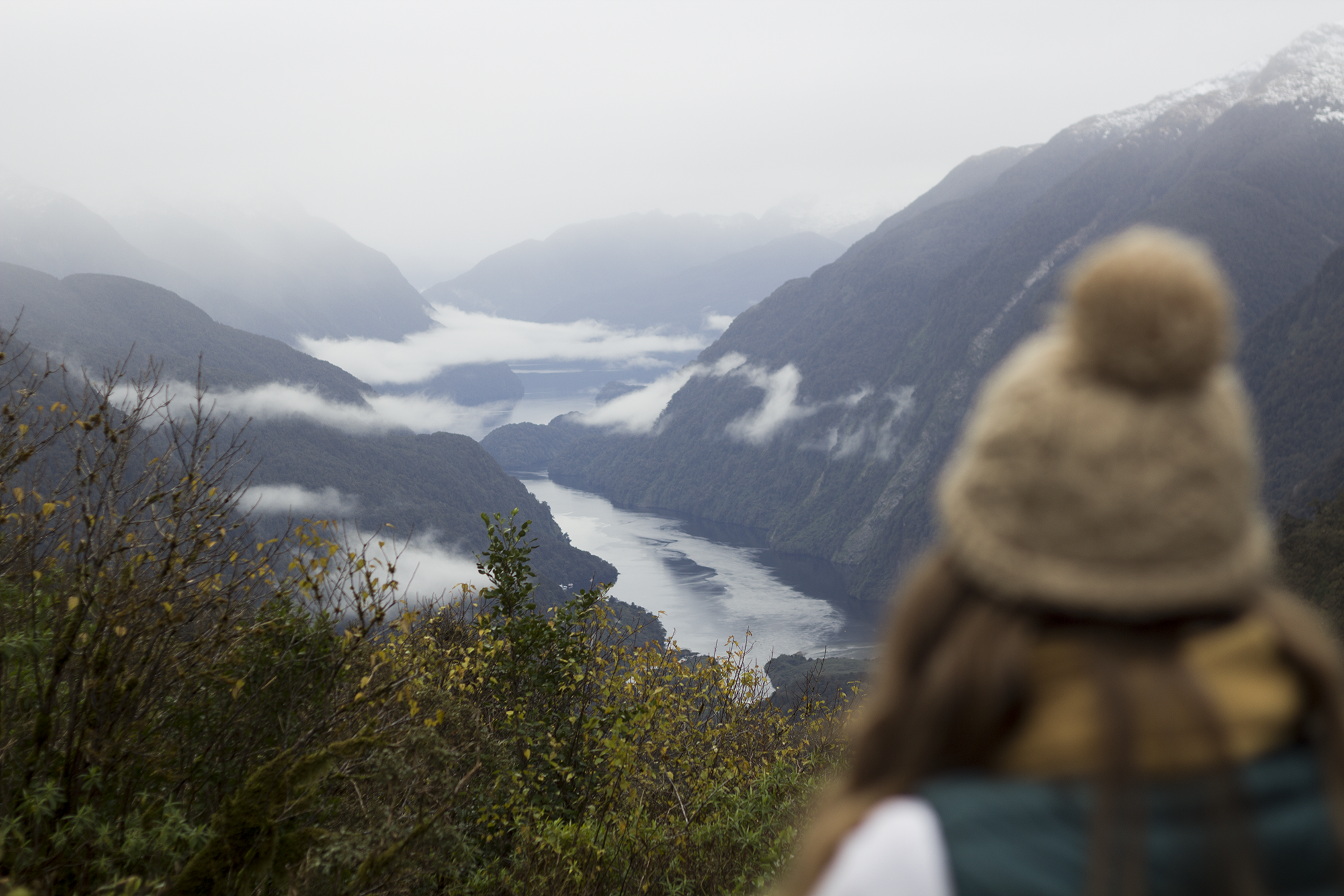 Doubtful Sound3.png