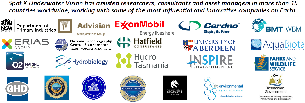 Spot X customer partnerships