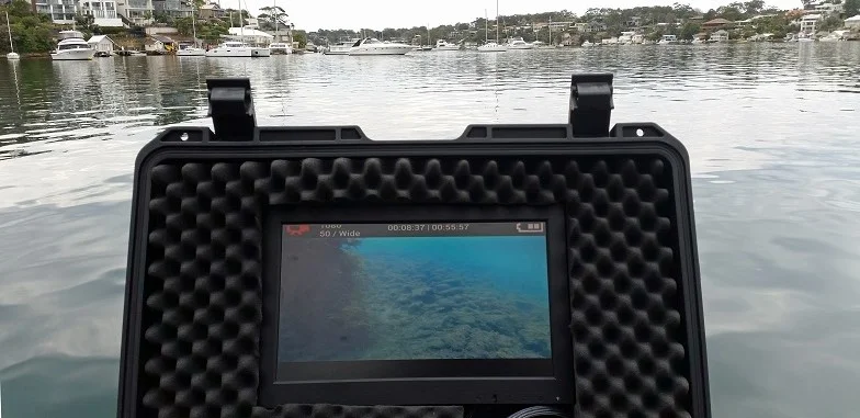 Need a topside display?