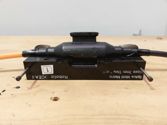 🐣 Just hatched! 🐣