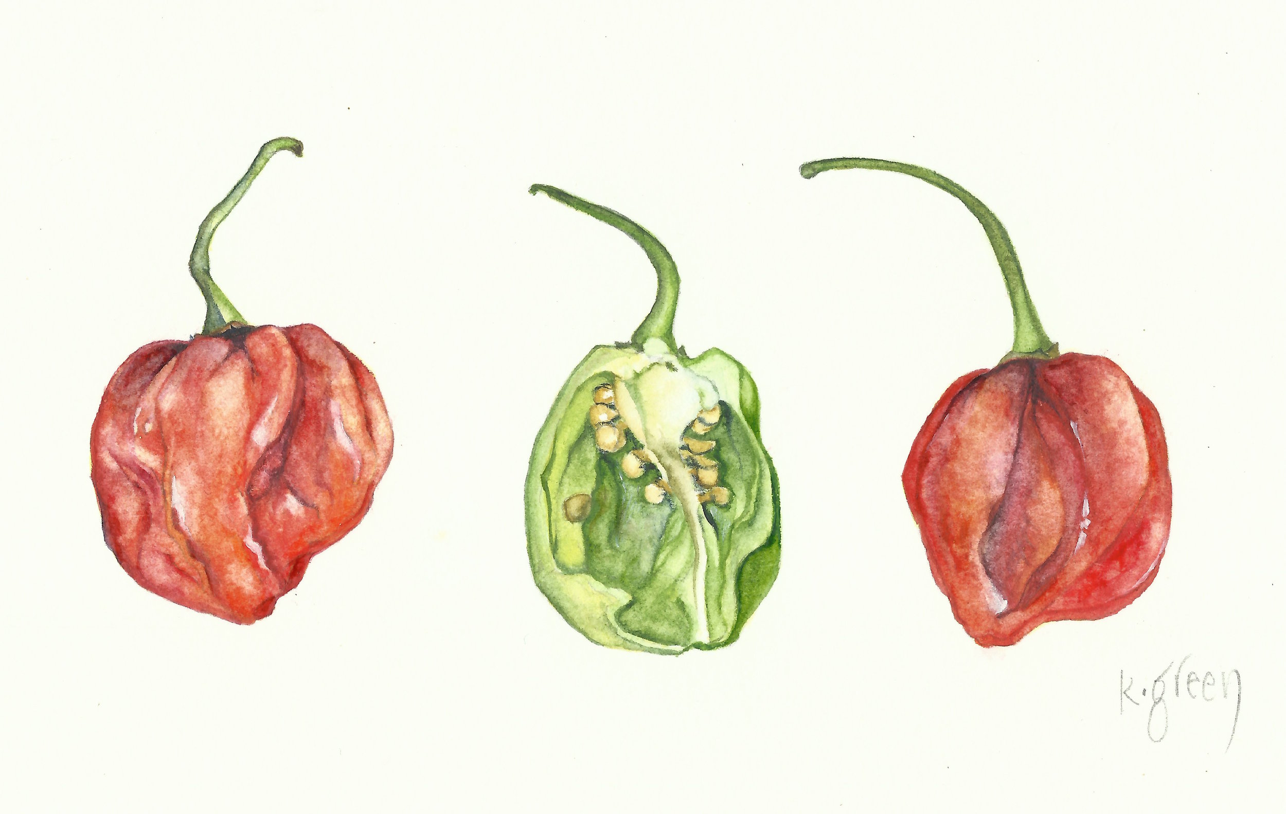 Three Scotch Bonnet