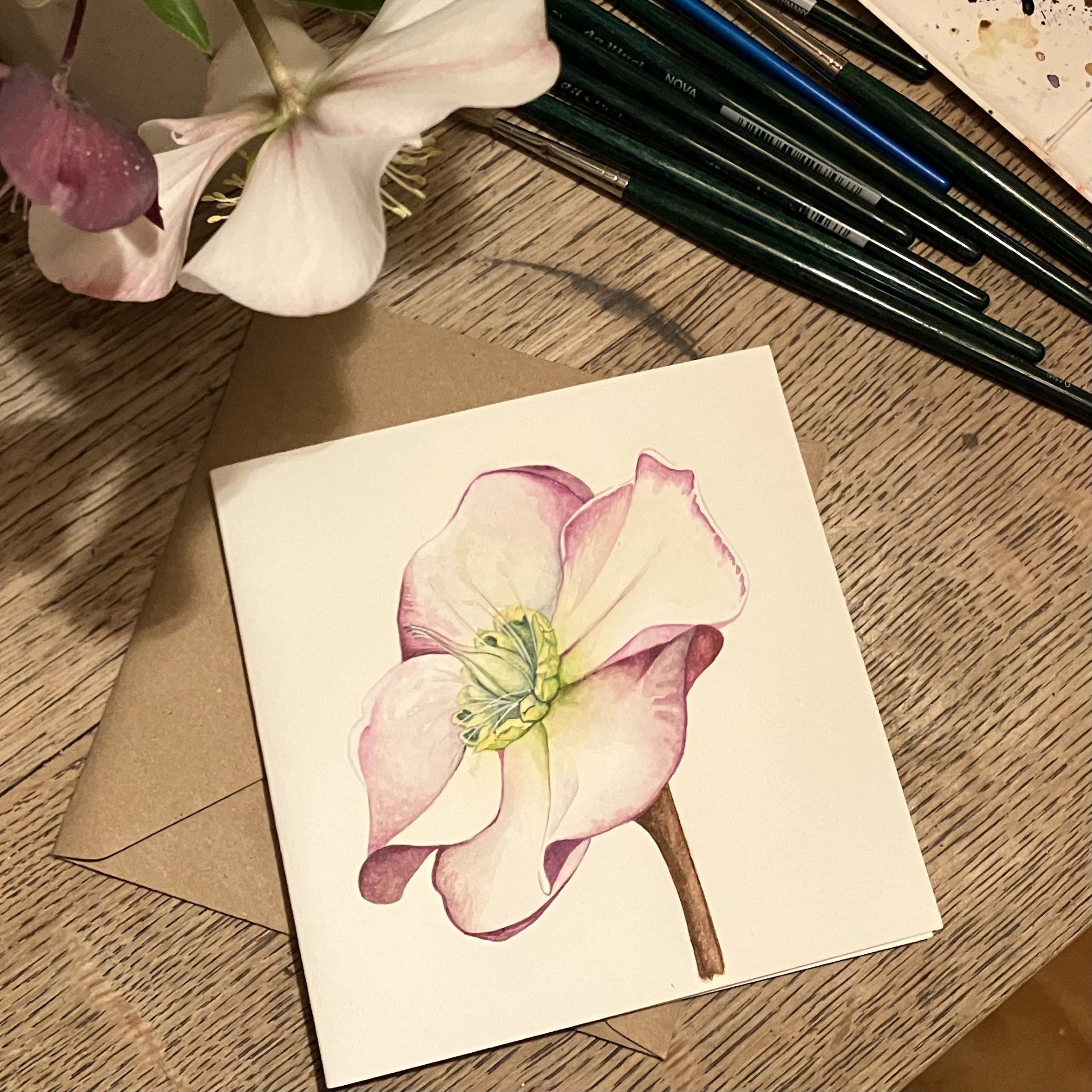 hellebore 2.jpg