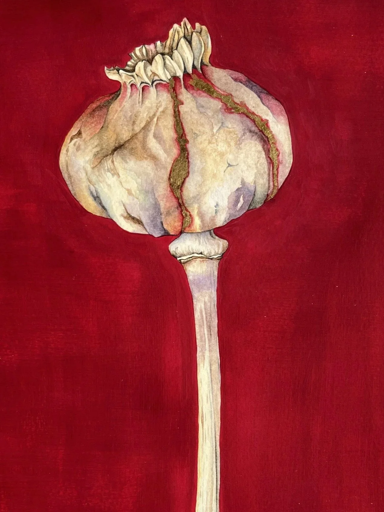 Stroud Artist's Cooperative Winter Exhibition