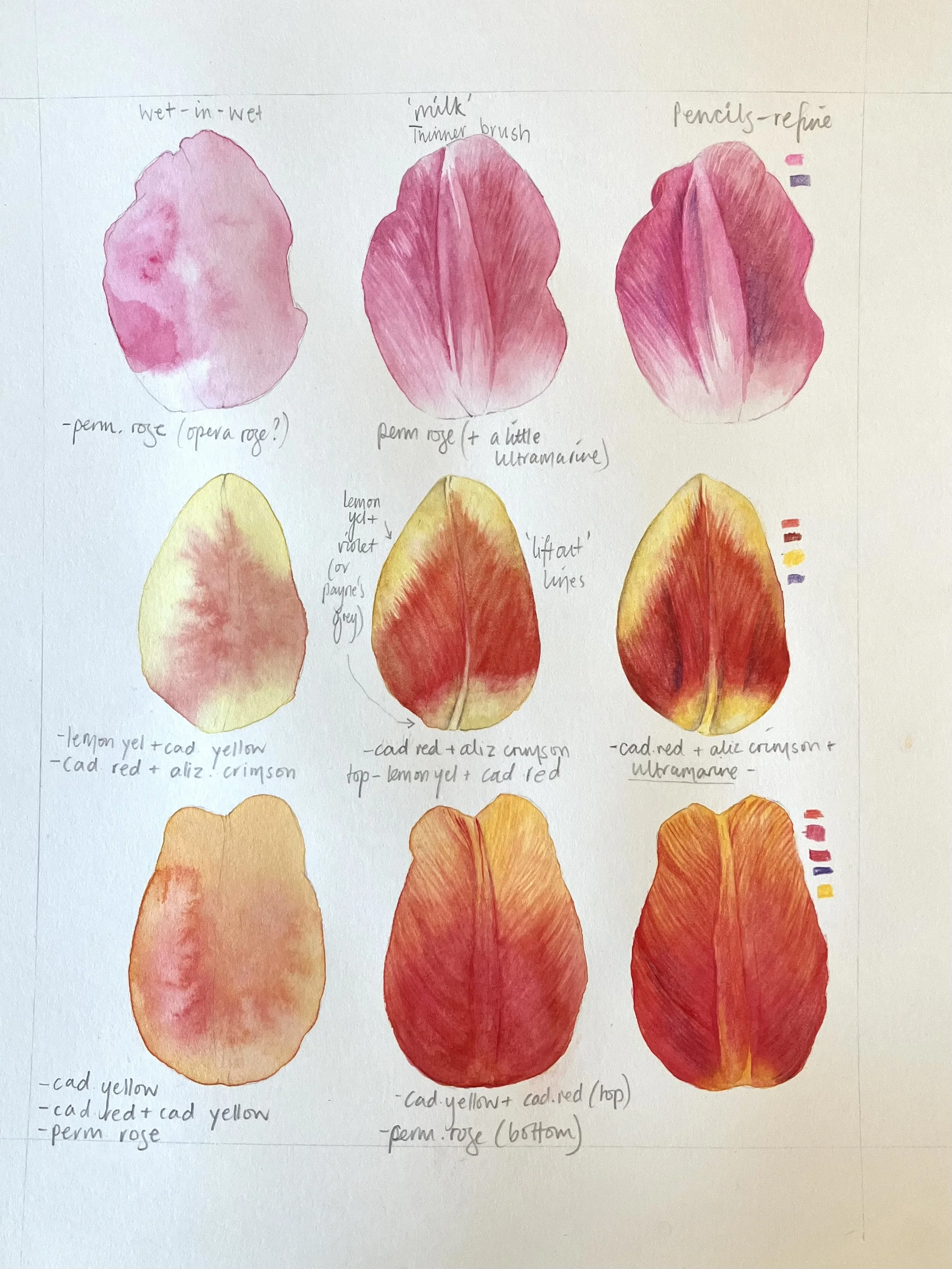 petals.jpg