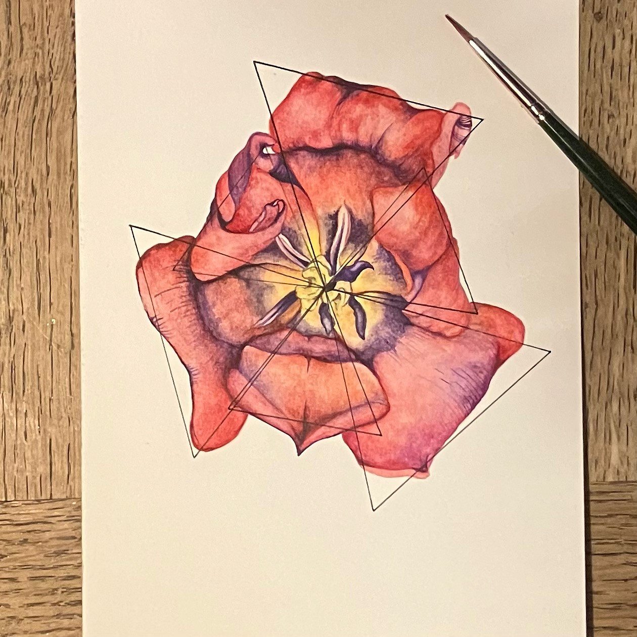 tulip.jpg