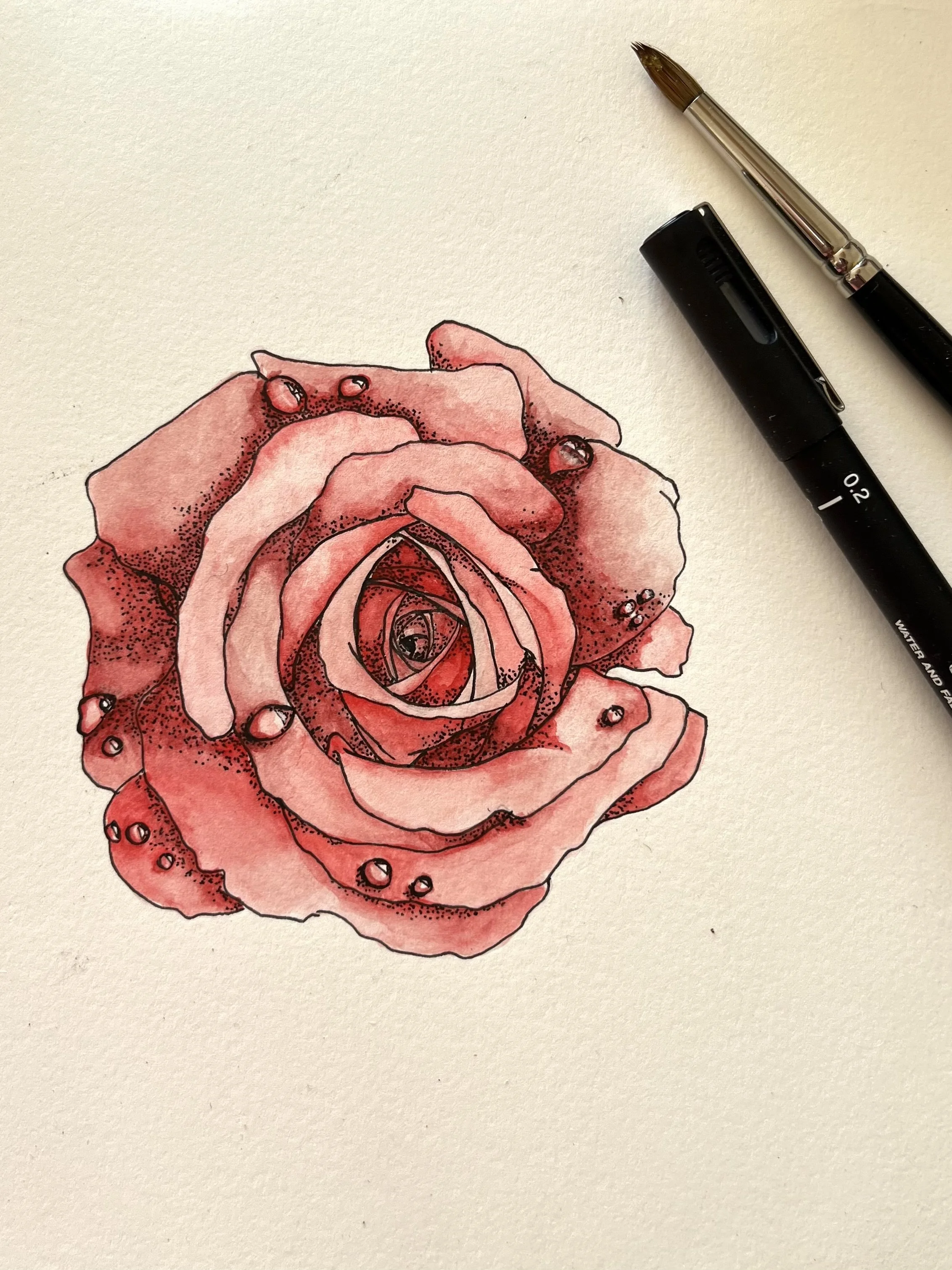 rose2.jpg