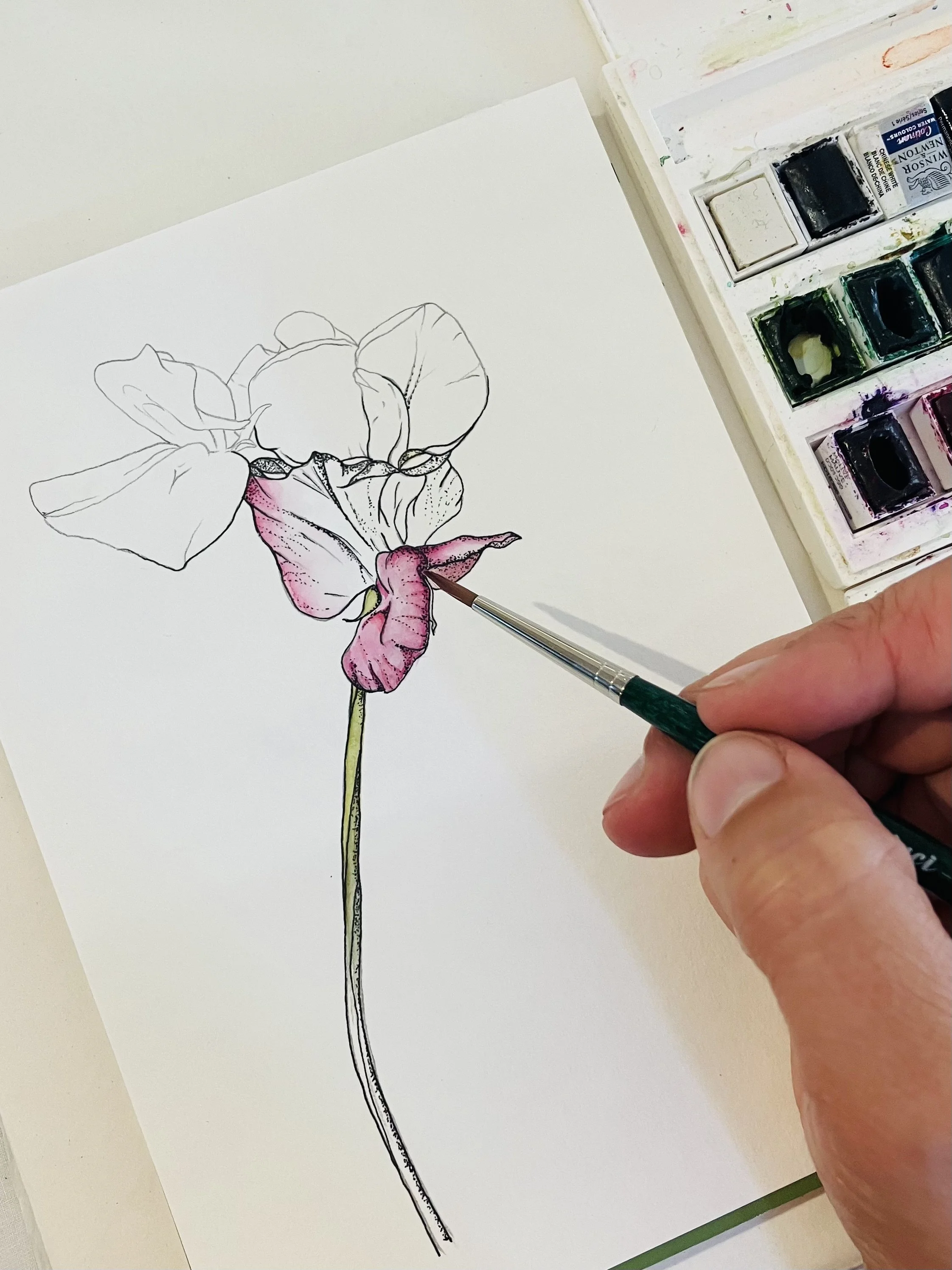 pen and watercolour.jpg