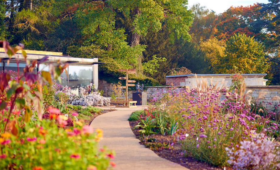 garden.png