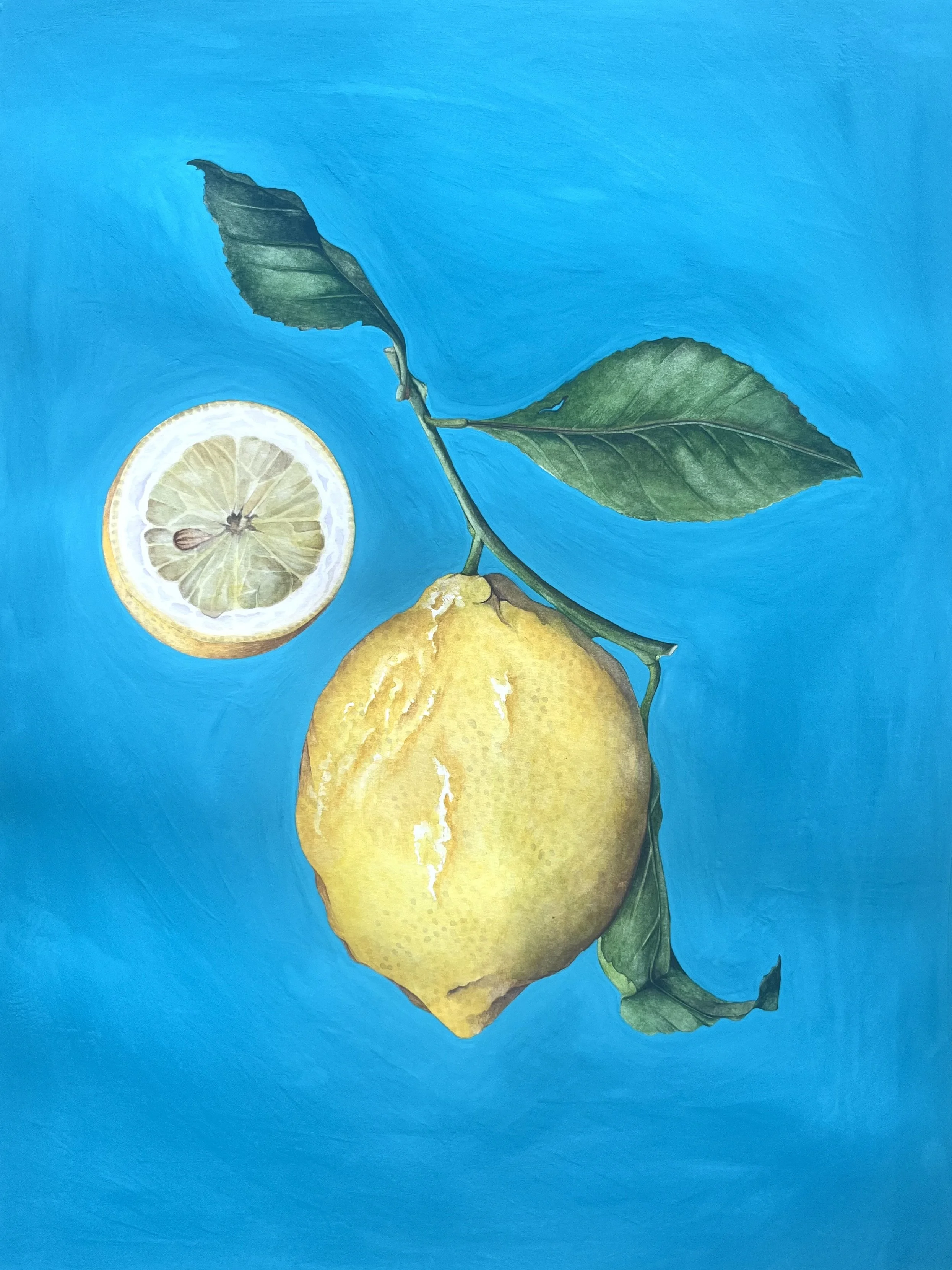 YUM! Star Anise Cafe Solo Exhibition