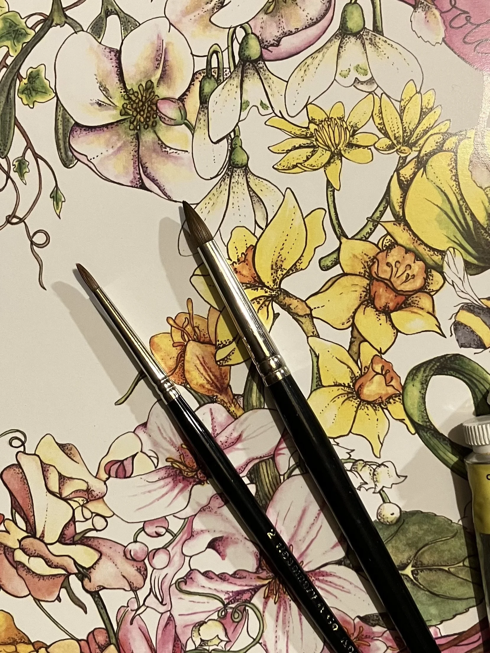 pen daffodil 2.jpg