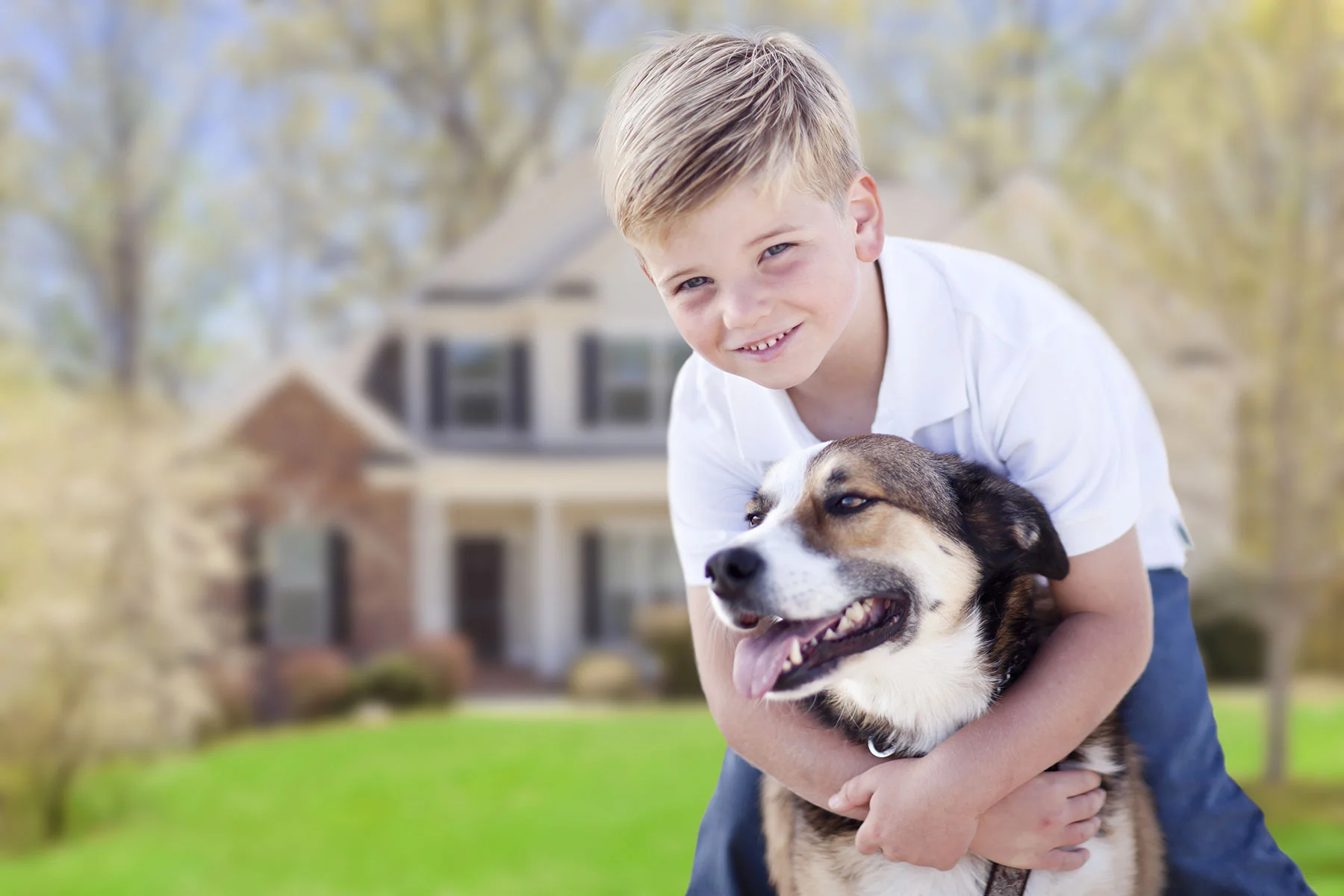 boy-dog-home.jpg