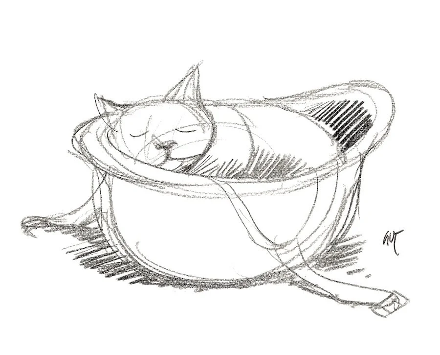 SICHERHEITSDISPOSITIV DER SCHWEIZ