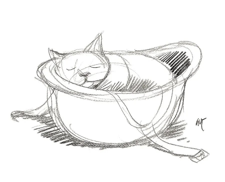 ZUSTAND DER SCHWEIZER ARMEE