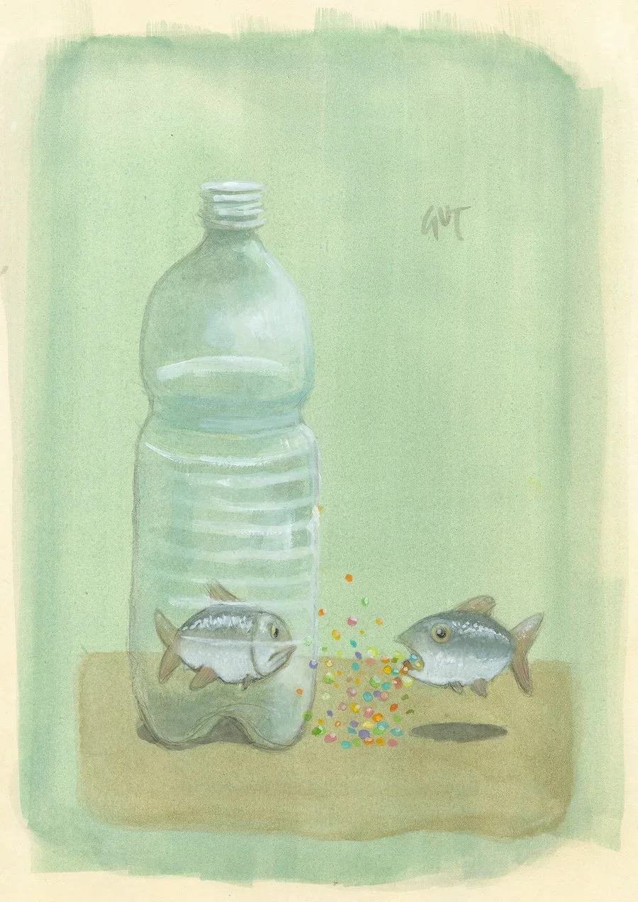 Fisch_in_der_Flasche_rgb.jpg.webp