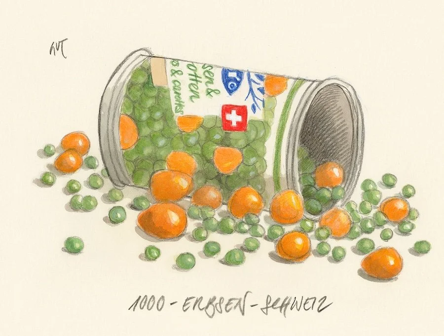 DIE SCHWEIZ STIMMT UEBER DIE - 10 MILLIONEN - INITIATIVE DER SVP AB