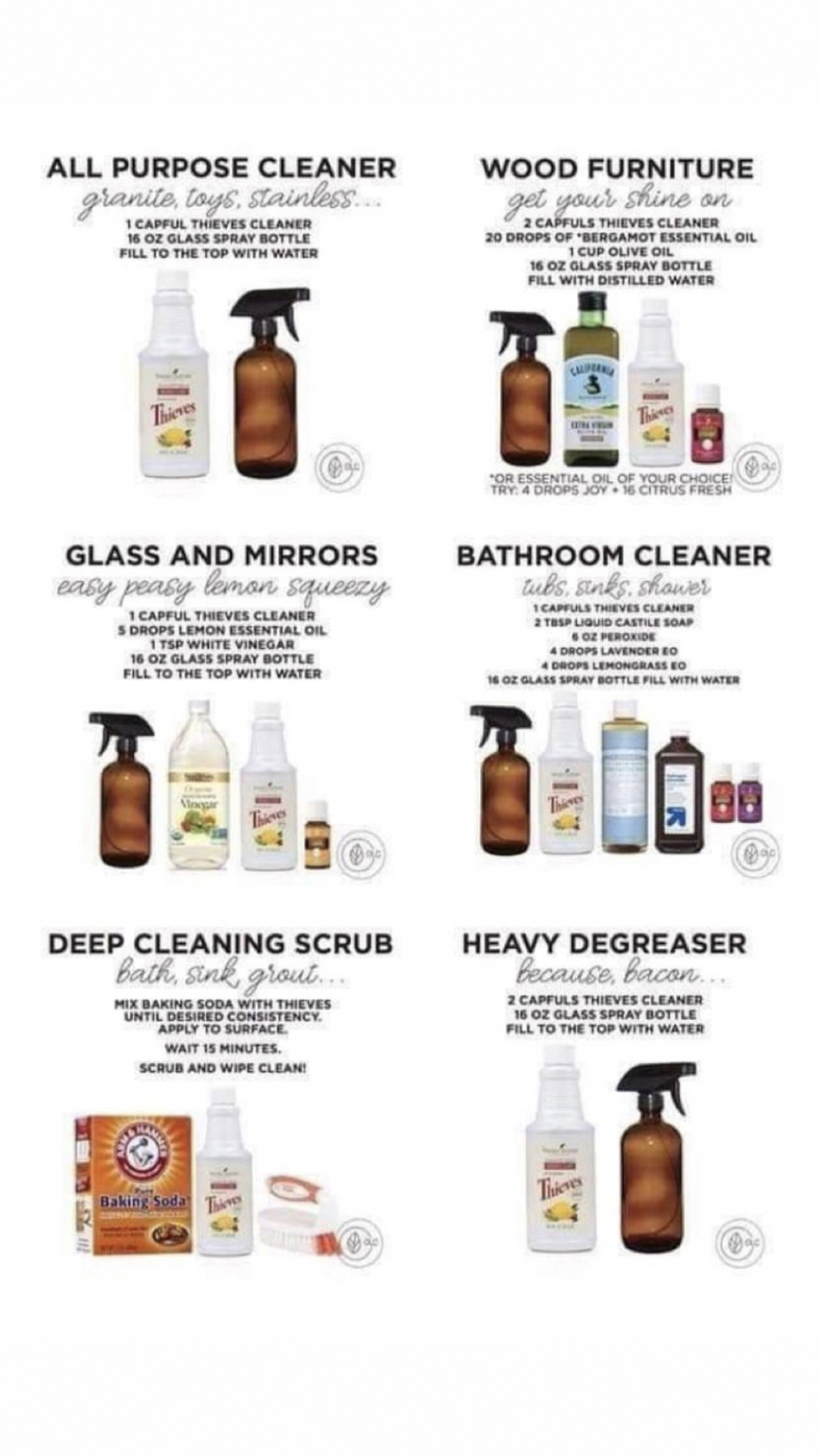 The Best Nontoxic Cleaning Recipes _ 5 Day Plan to Clean Your Whole Home - torey noora.png