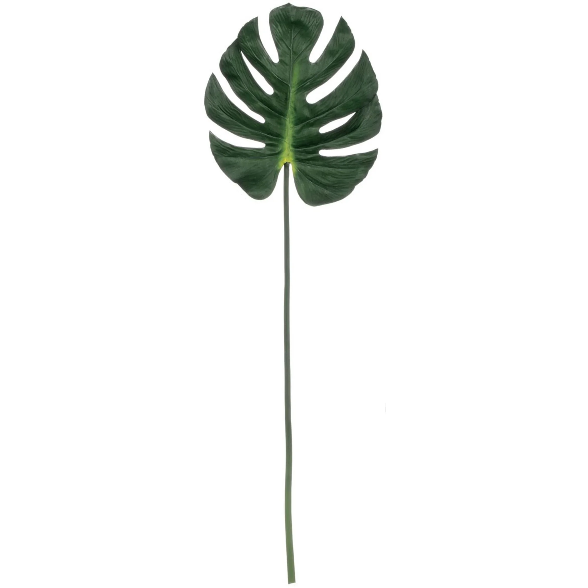 Split Leaf Philodendron Stem, Amanda’s House Of Elegance ($8.95)