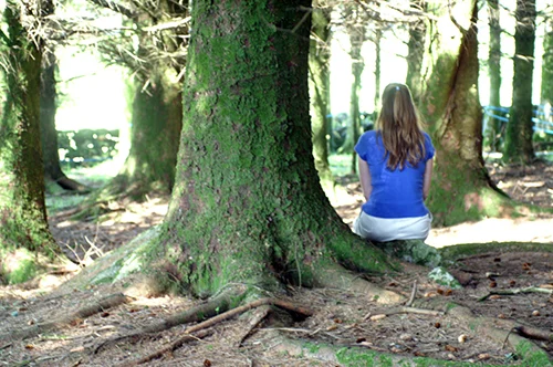 Forest gazing_sml.jpg