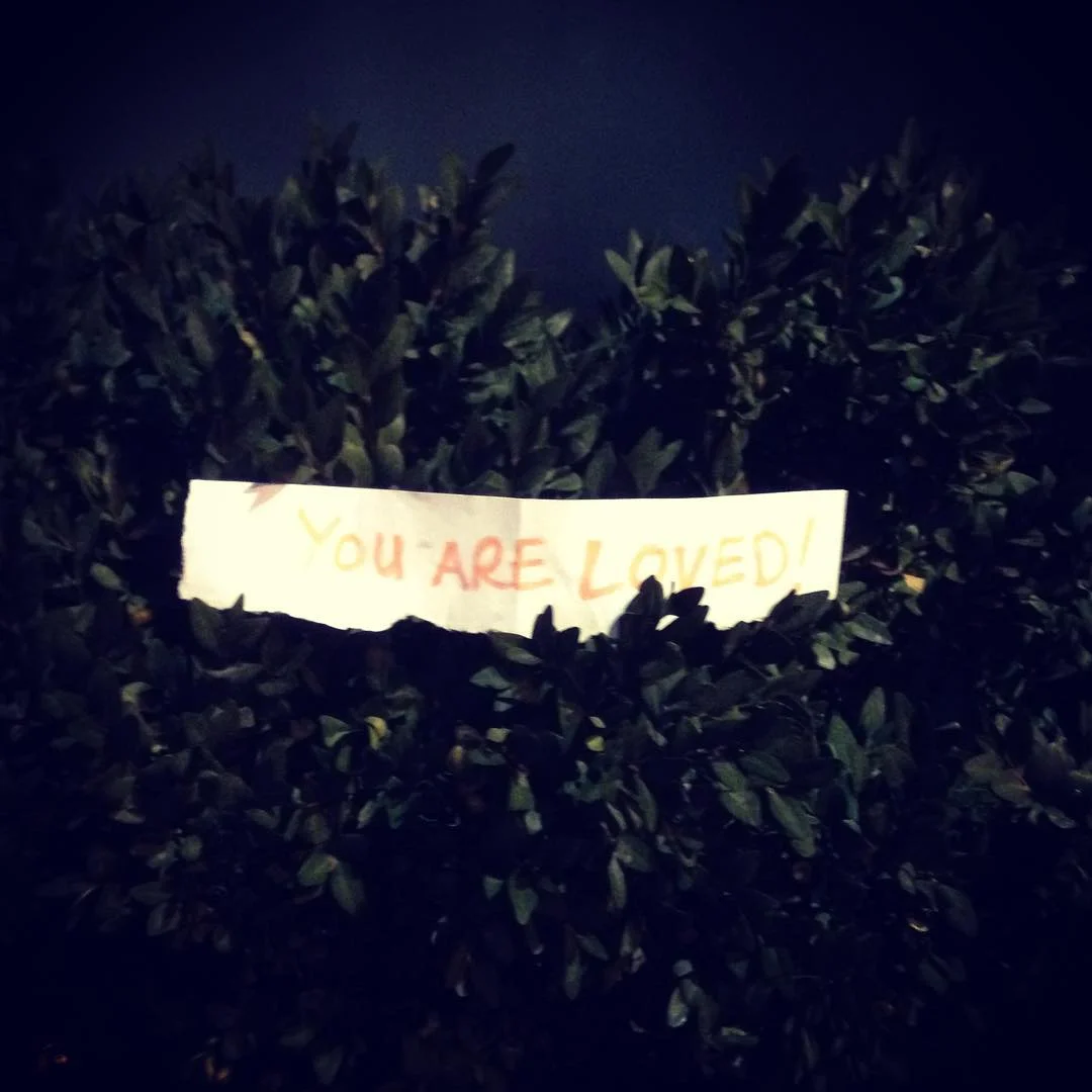 You are loved hedge Pronoia.jpg
