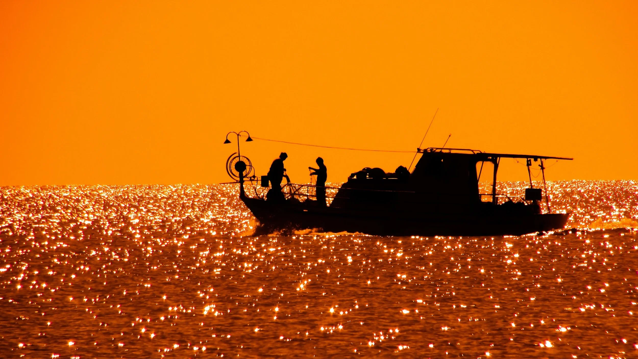 nc commercial fishing
