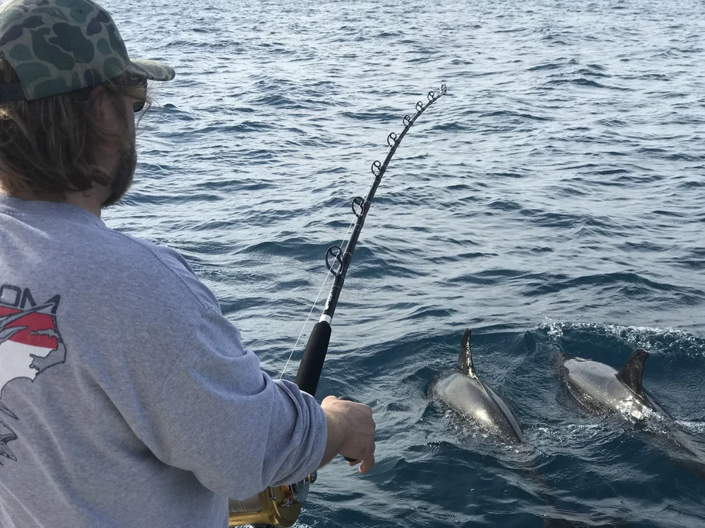 Commercial and Charter Fishing Trips in Rincon, Aguada and Aguidilla.   Simply Caught Seafood LLC.