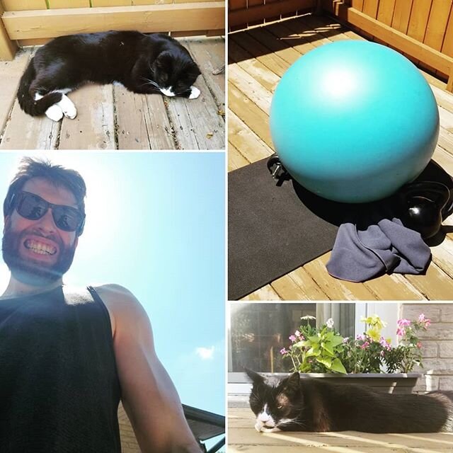 High-heat lunchtime workout, with excellent coaching from my boy. #kettlebell #outdoorworkout #cats #hotasballs