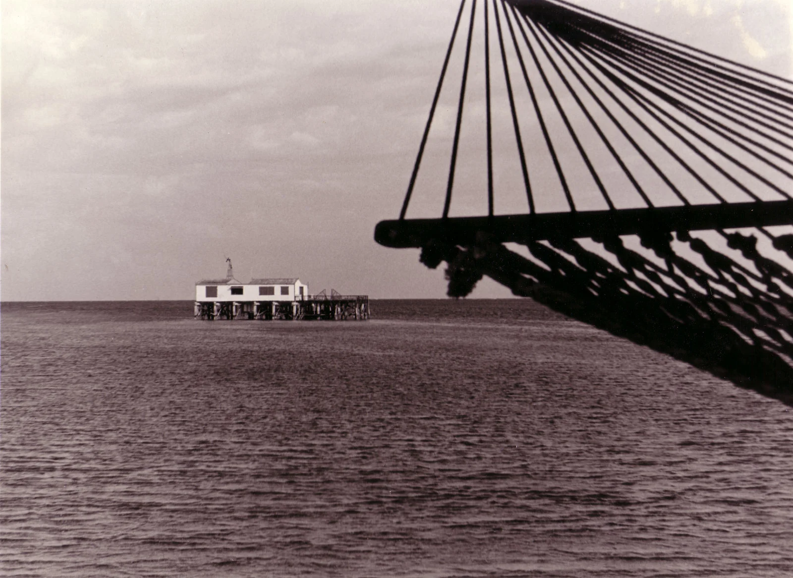 hammock.jpg