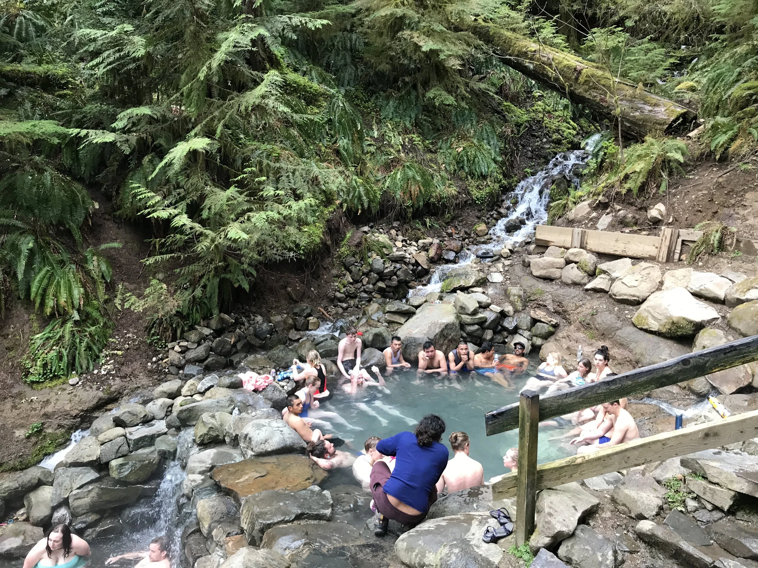 Terwilliger Hot Springs in the Willamette National Forest