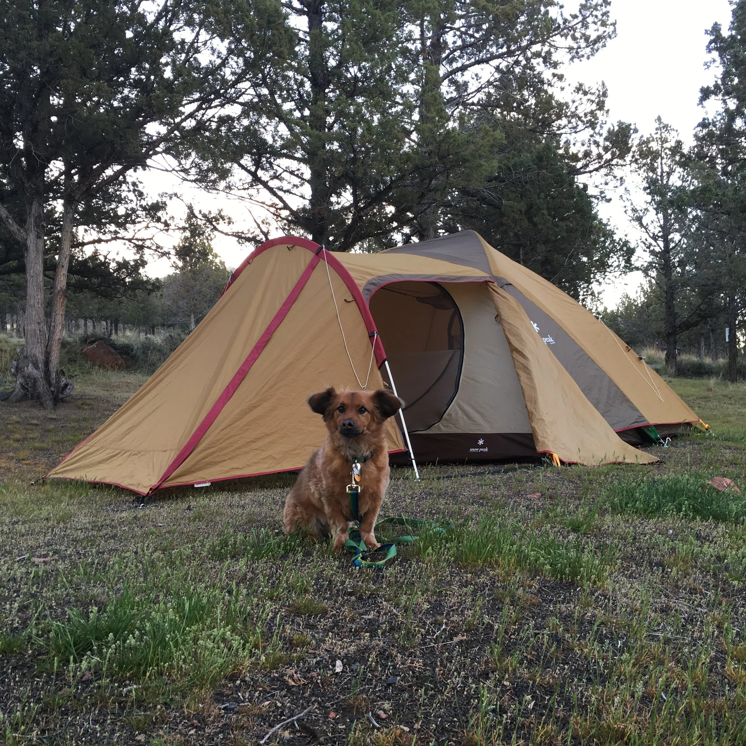 Snow Peak Amenity Dome — 3 Year Review 