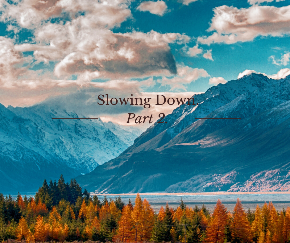 Slowing Down: Part 2 episode artwork