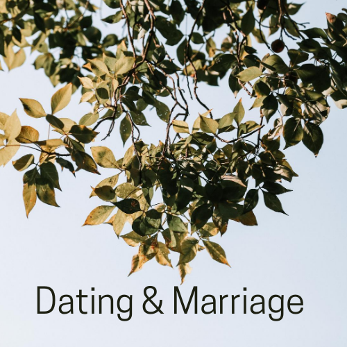 Dating and Marriage episode artwork