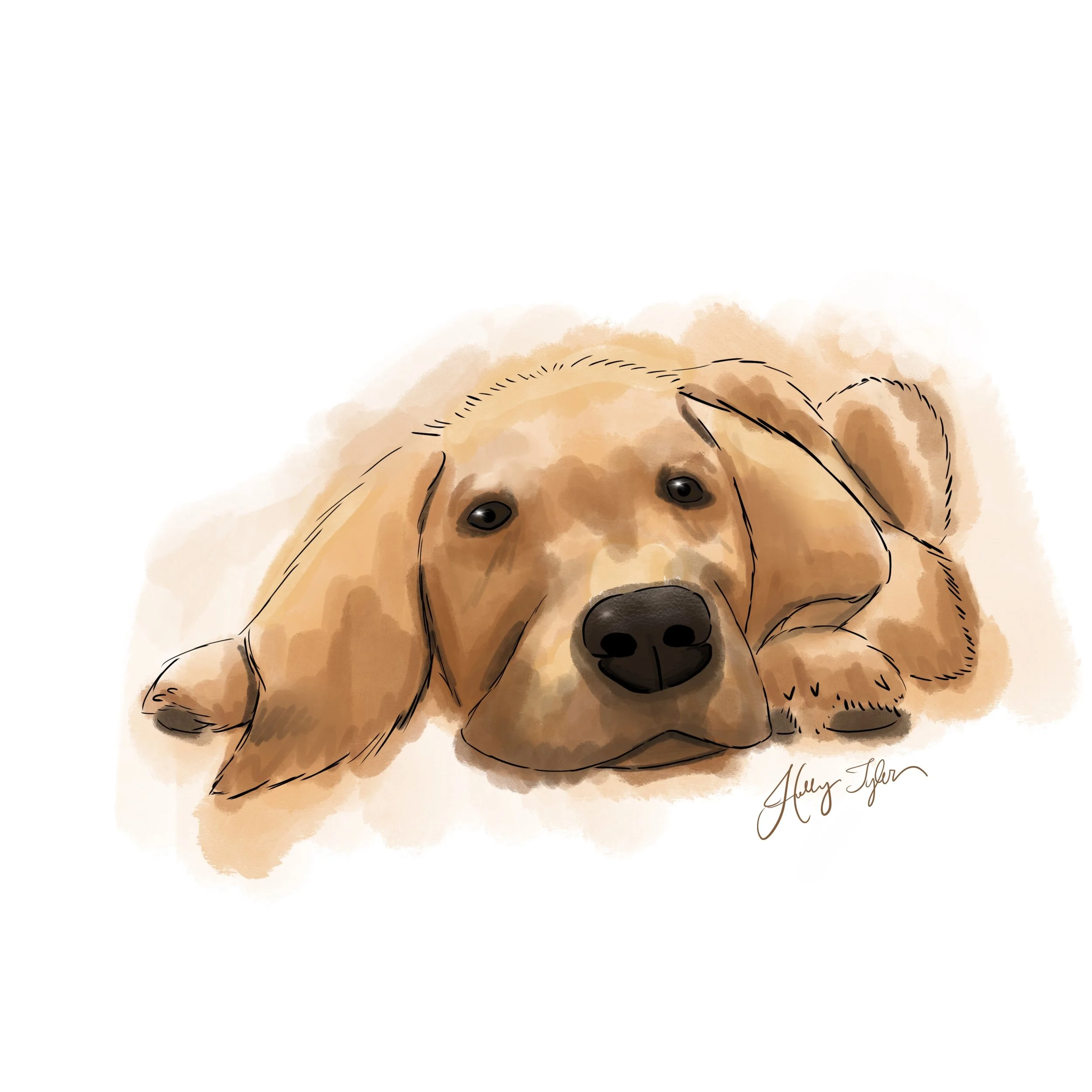Lab_illustration.jpg