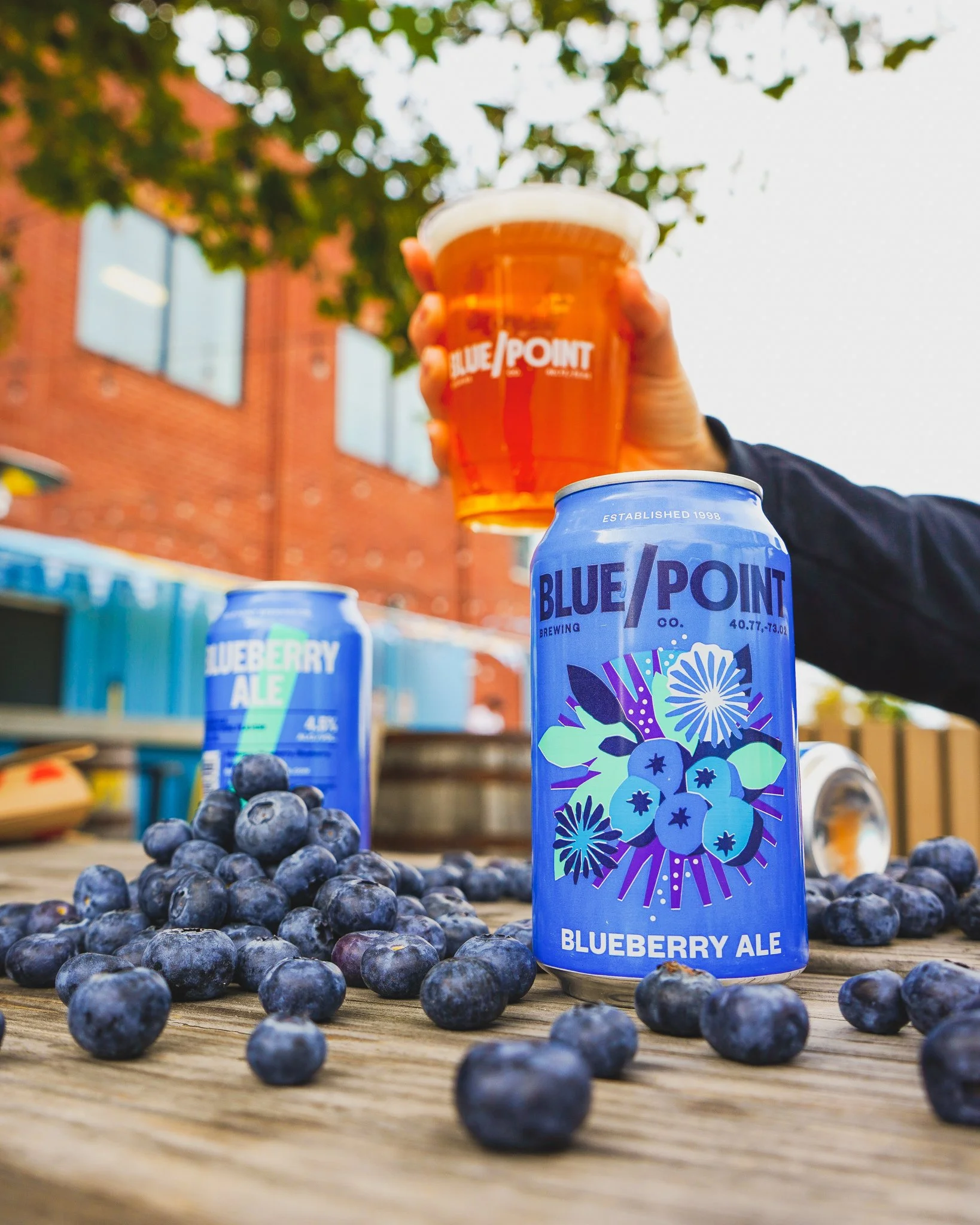BlueberryAle-3.jpg