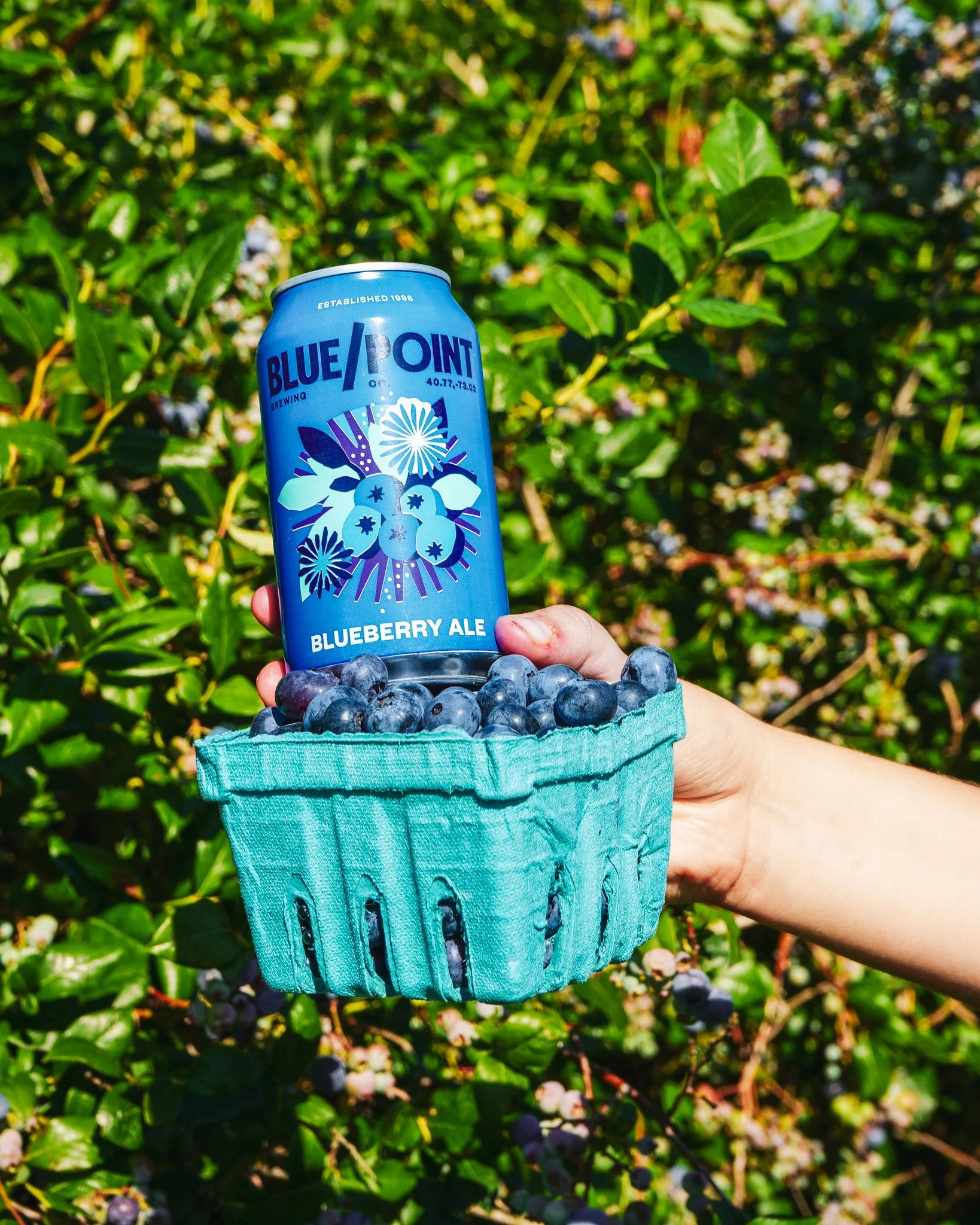 BlueberryAle-9.jpg