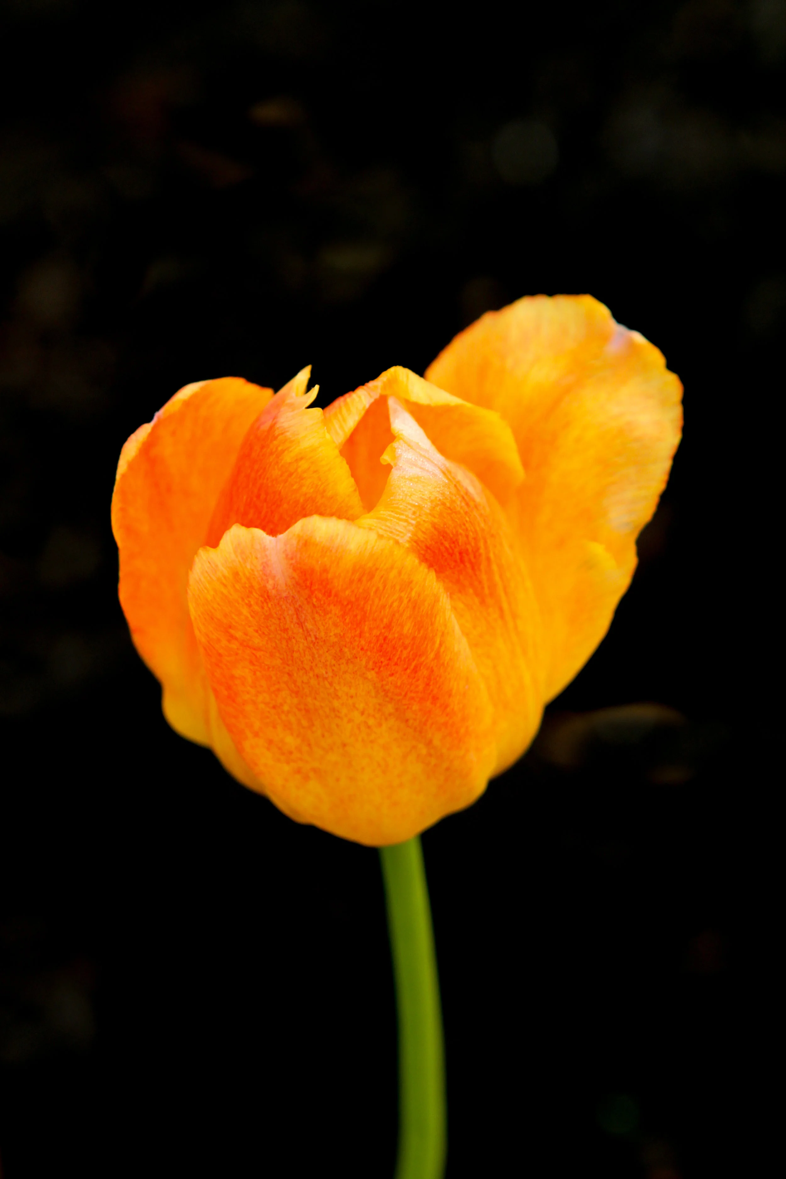 IMG_5503.JPG