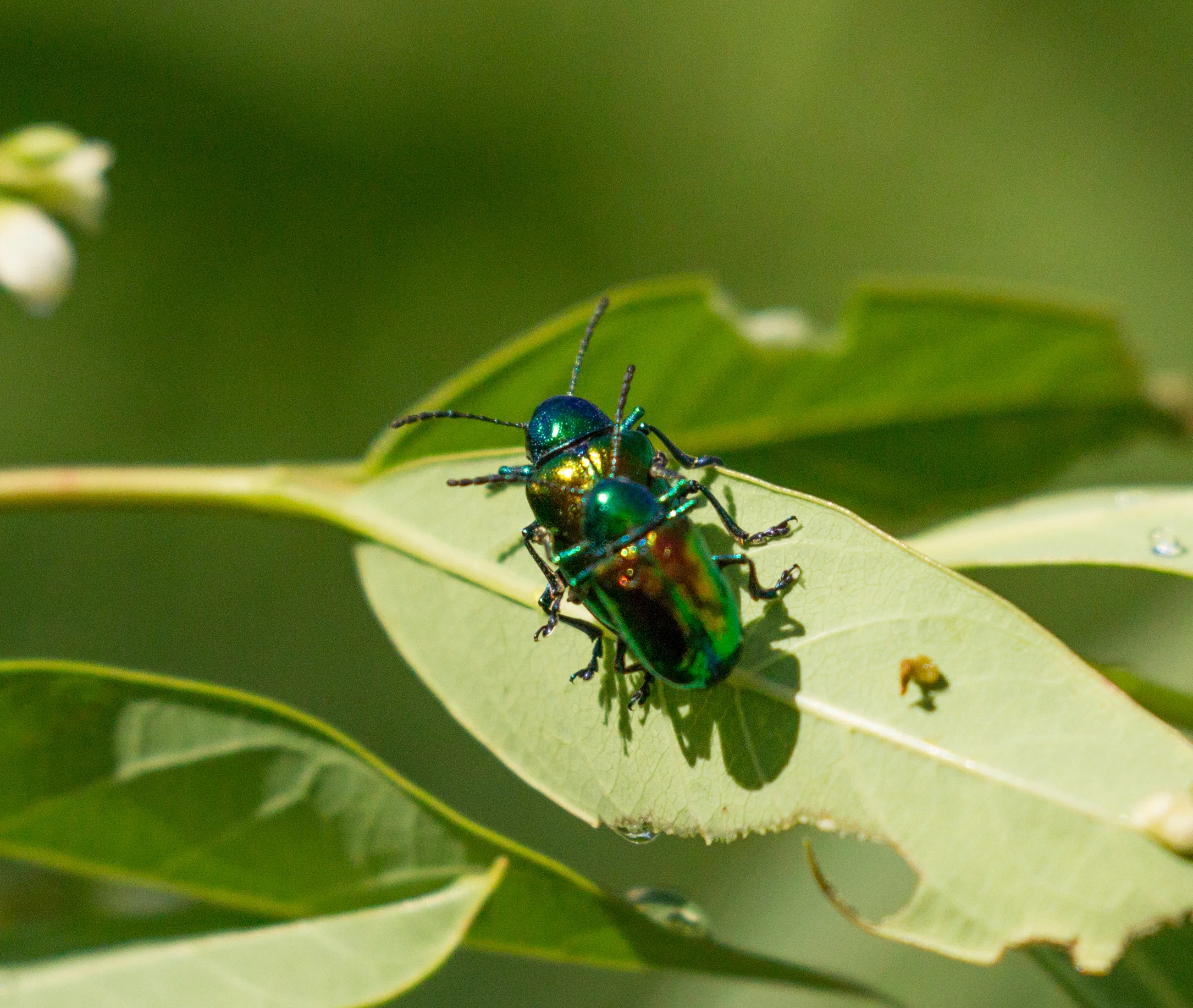  Sex seems to be everywhere. 