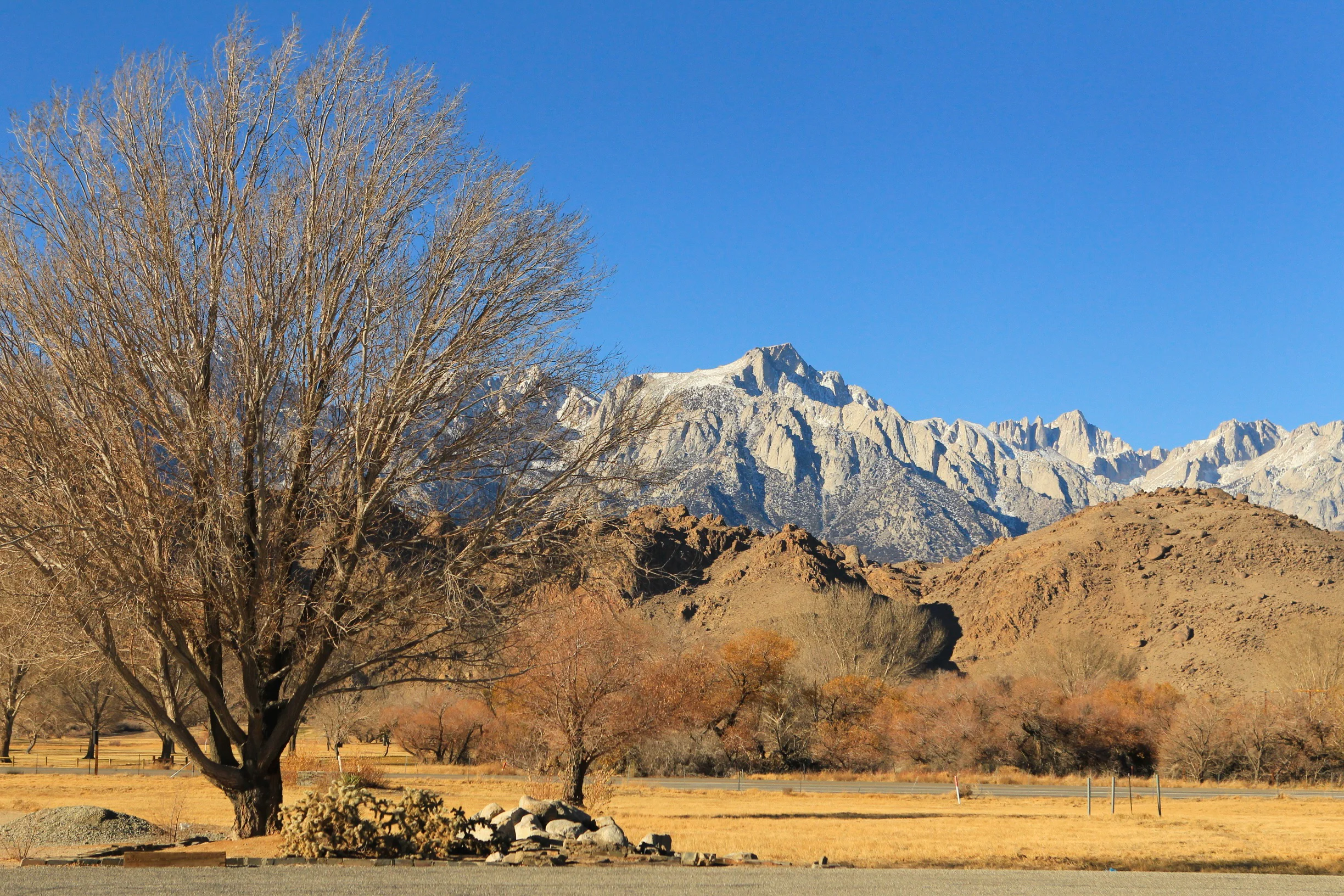  Mt Whitney, Ca. Hwy 395. 