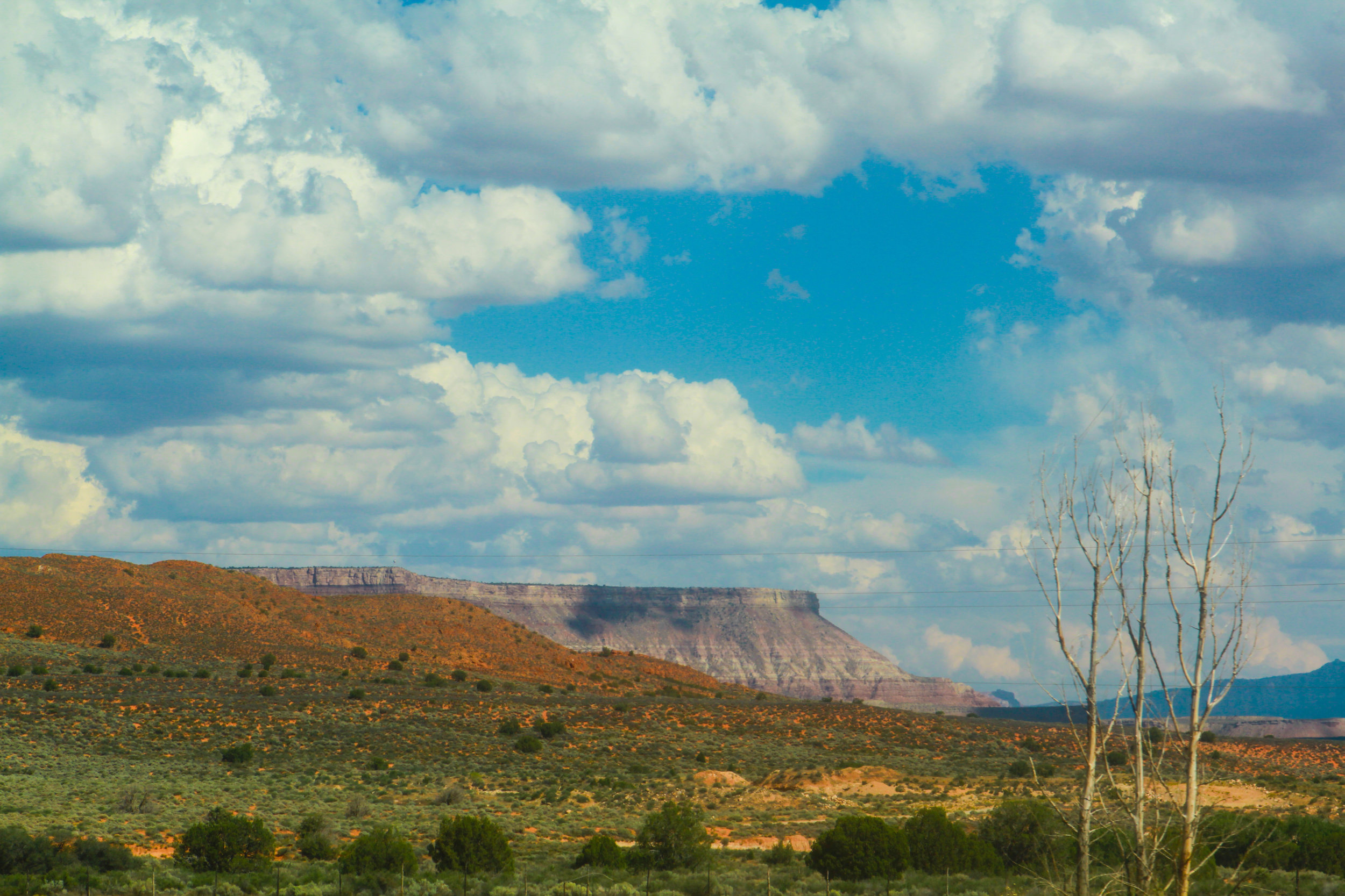  Near Zion National Park,&nbsp;Utah 