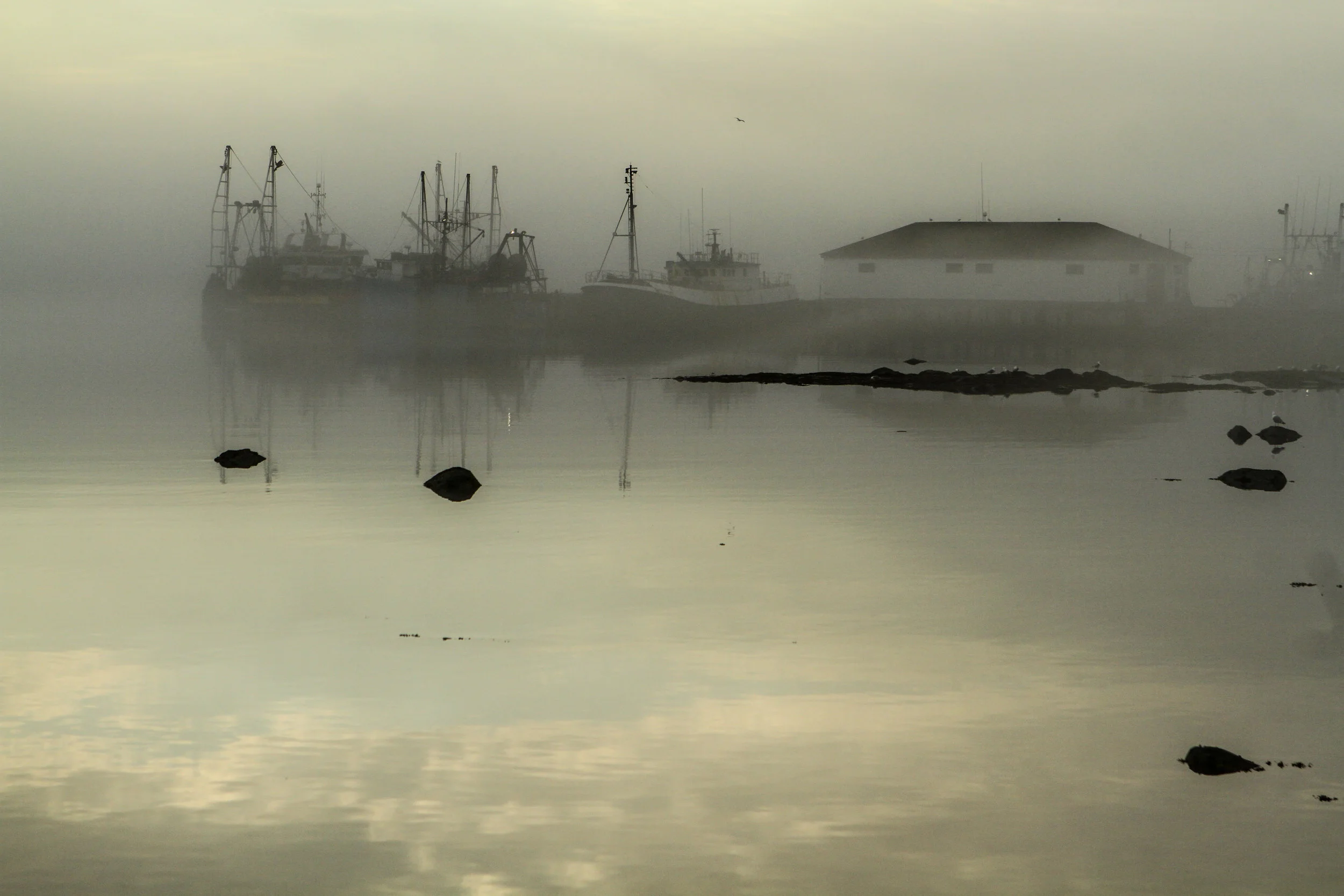  &nbsp;St. Anthony, Newfoundland, Canada.&nbsp; 