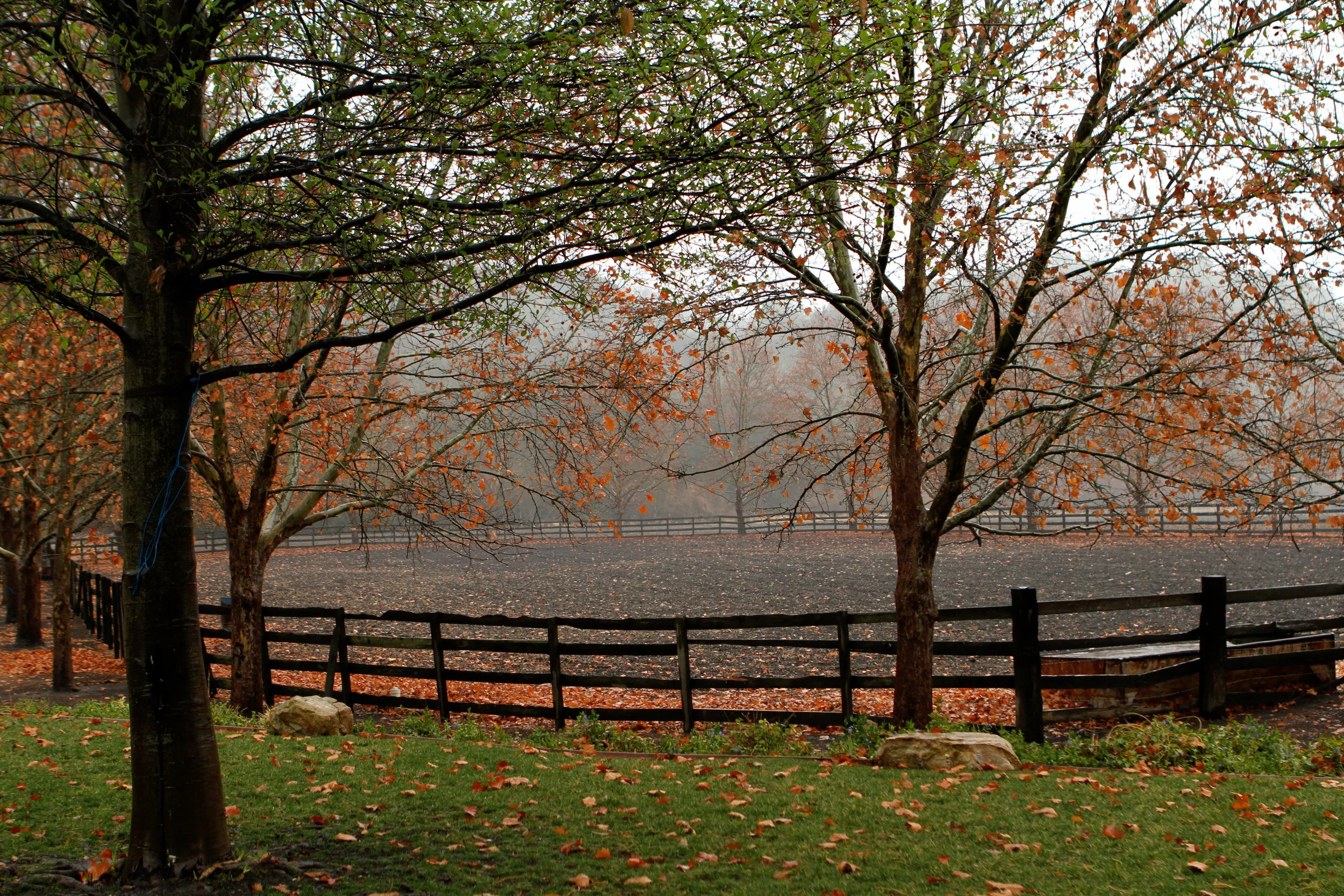  Wine Country near Paso Robles, Ca. 