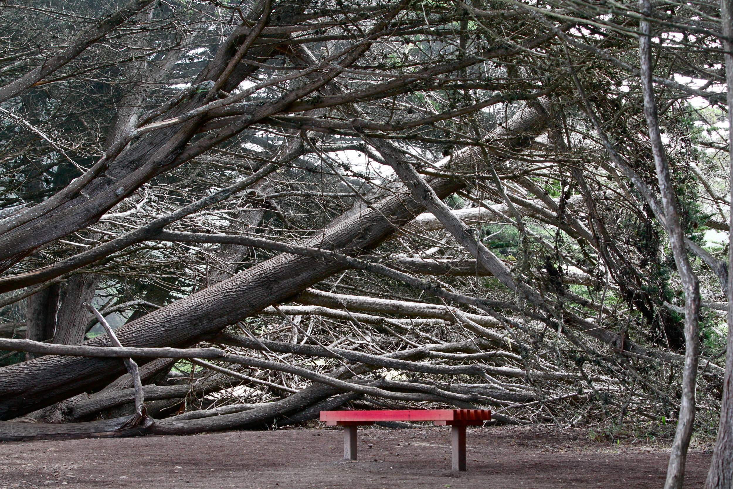  Ragged Point on Hwy One, Ca. 