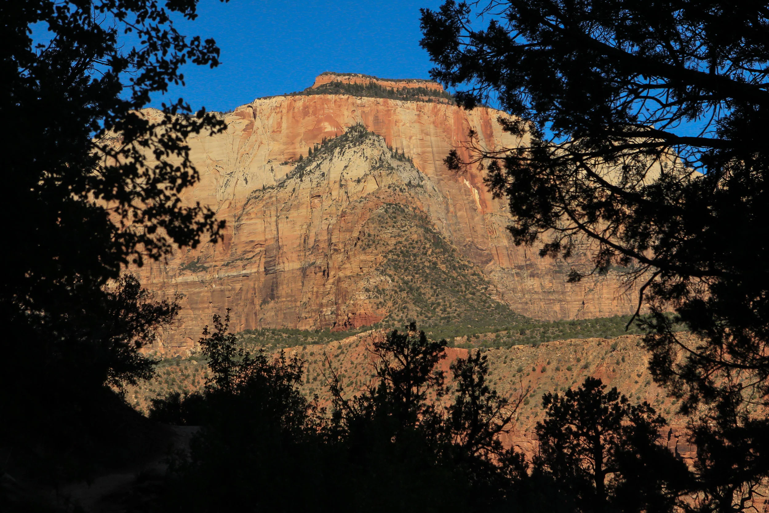  Zion National Park, Utah. 