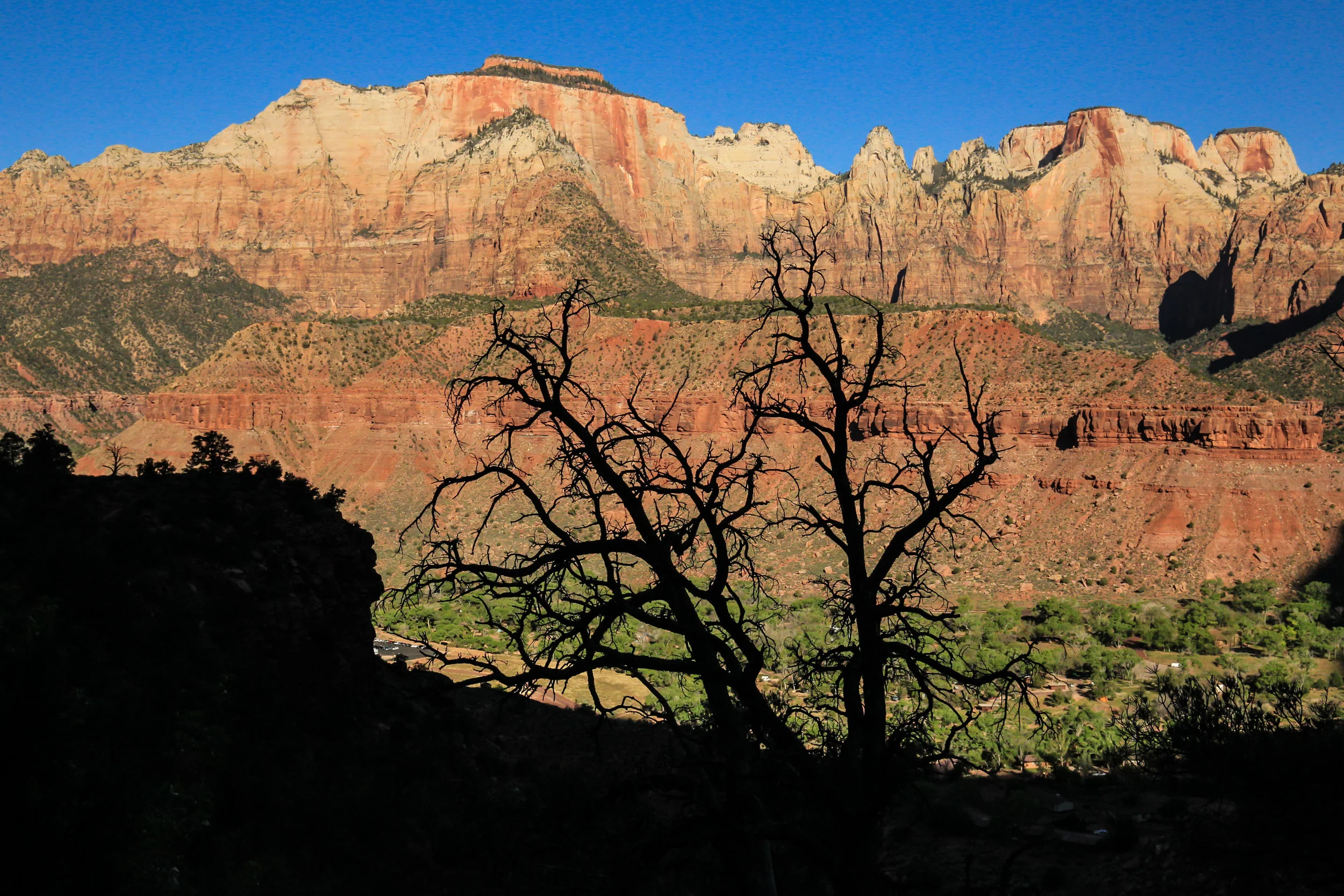  Zion National Park,&nbsp;Utah. 