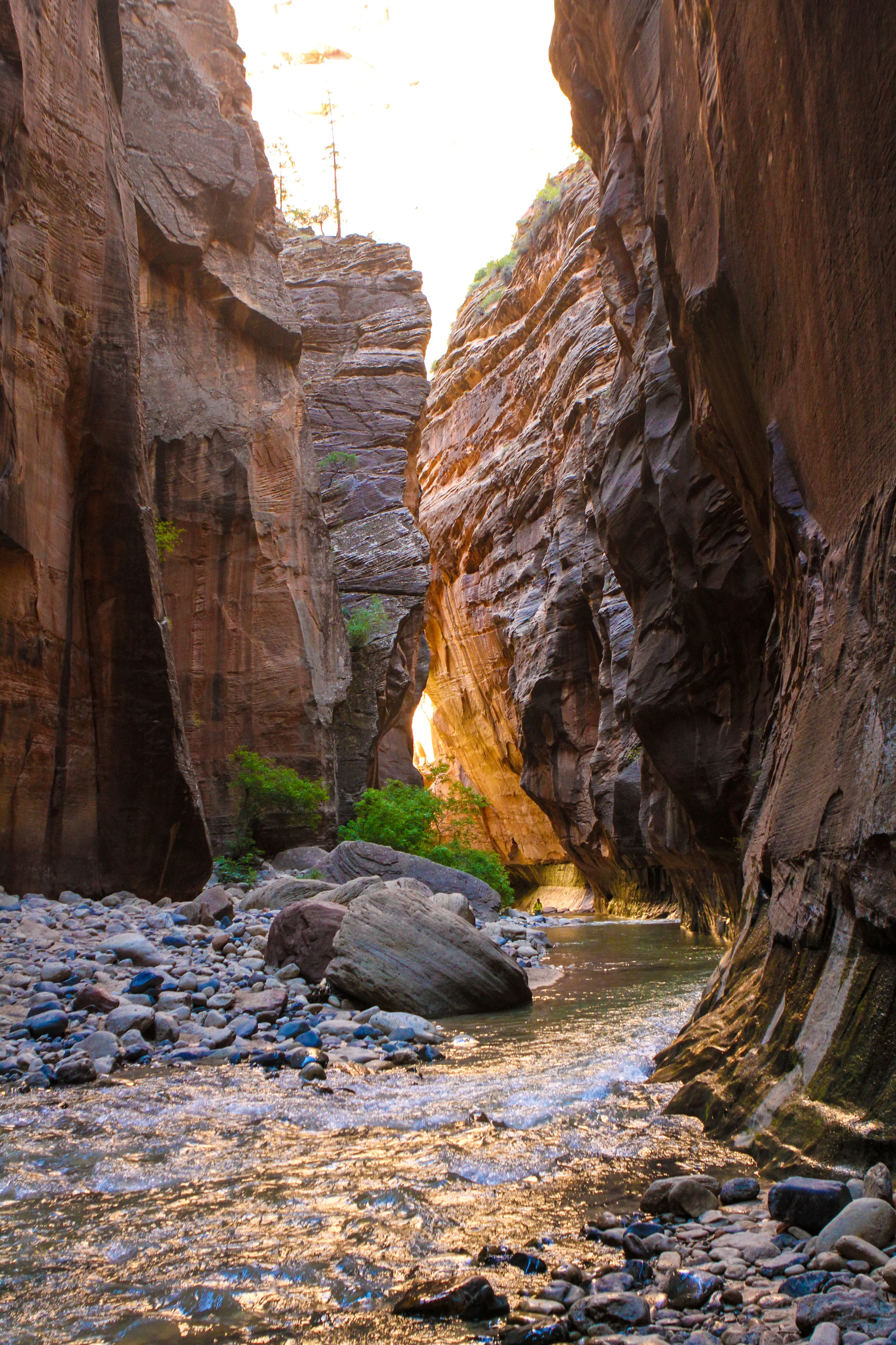  The Narrows, Zion National Park, Utah. 