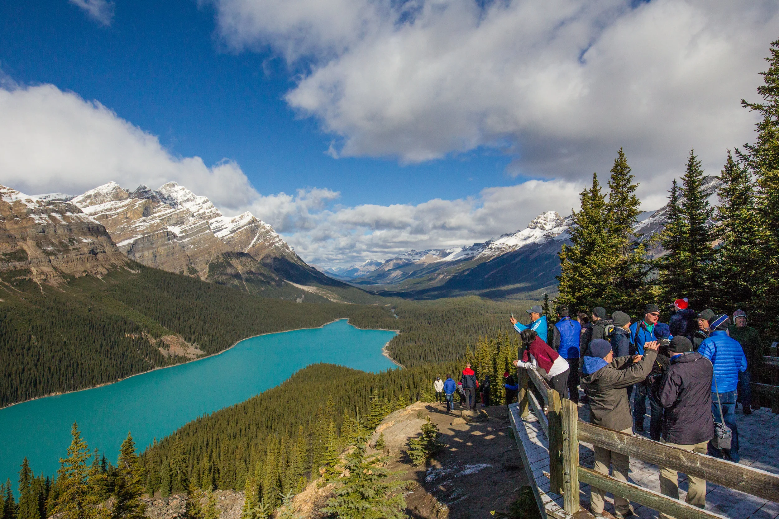  Peyto Lake, Alberta, Canada. ( water is this color due to glaciers runoff. ) 