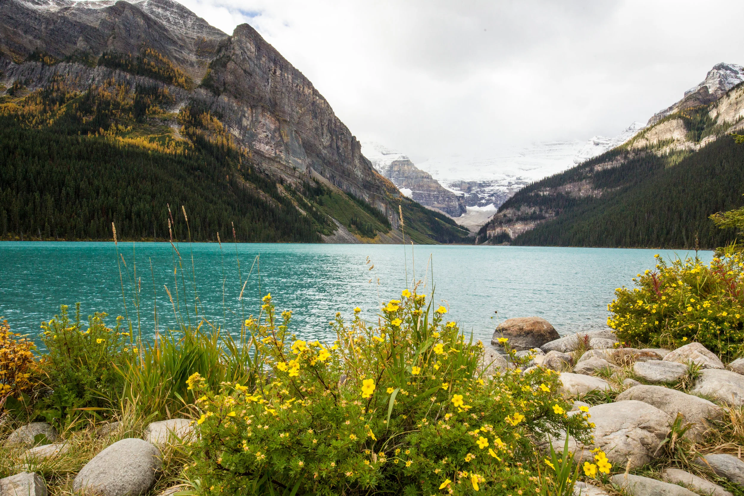  Lake Louise, Alberta, Canada 