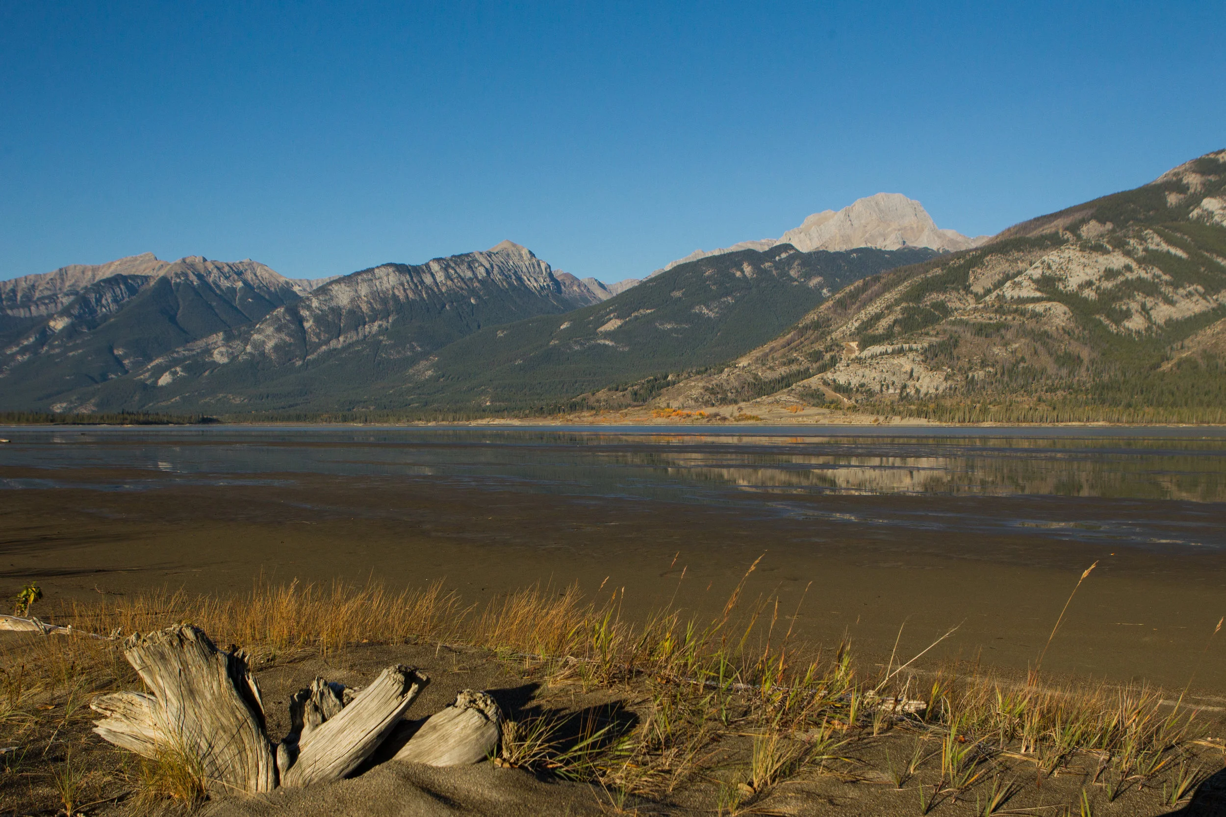  Somewhere in Alberta, Canada. 