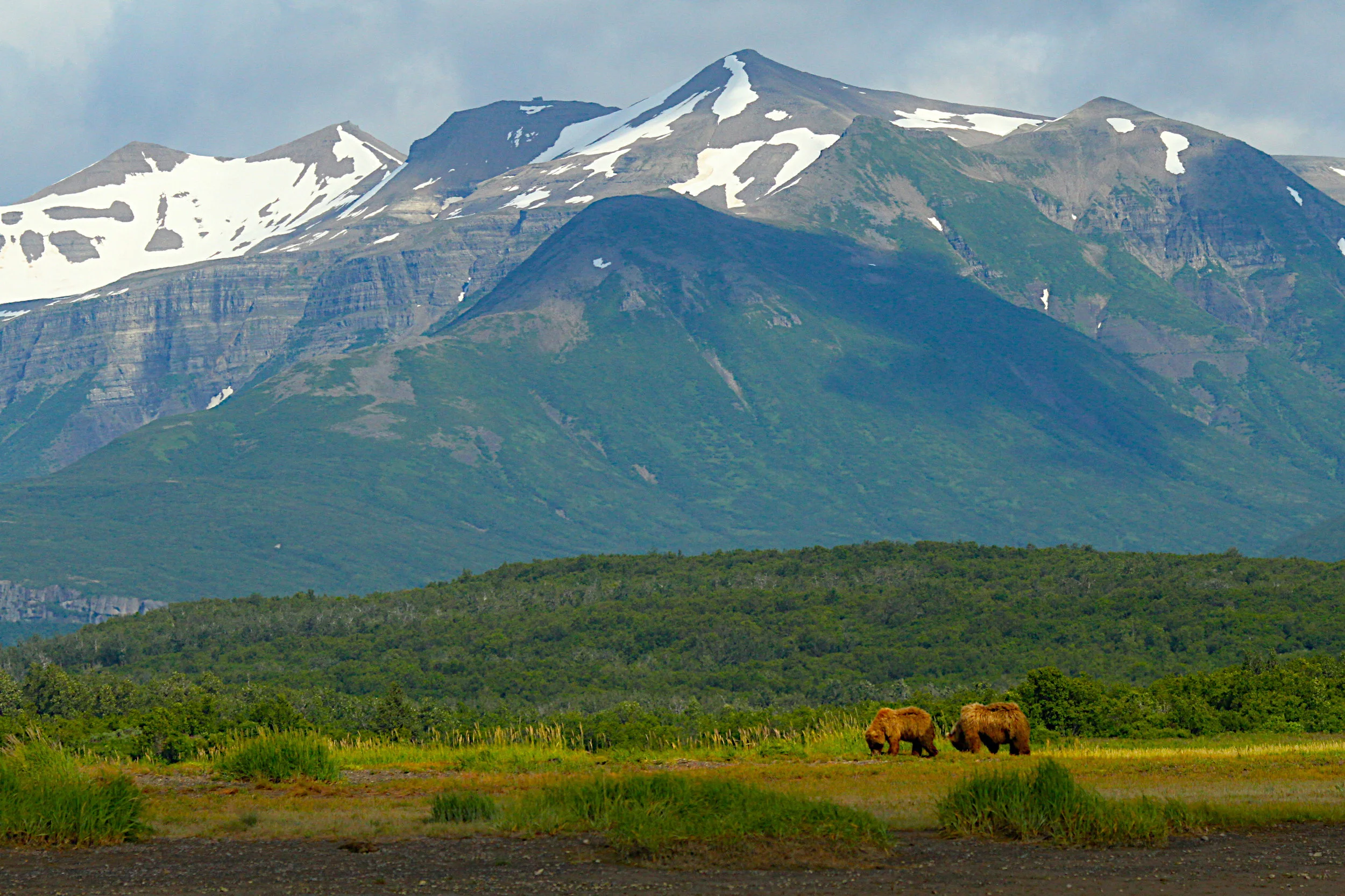  The beauty here was outstanding. We were living on a large old crab boat that was moored in an inlet. During our stay, two or three times a day, we got on this little rubber raft and came on land and walked literally among bears. 