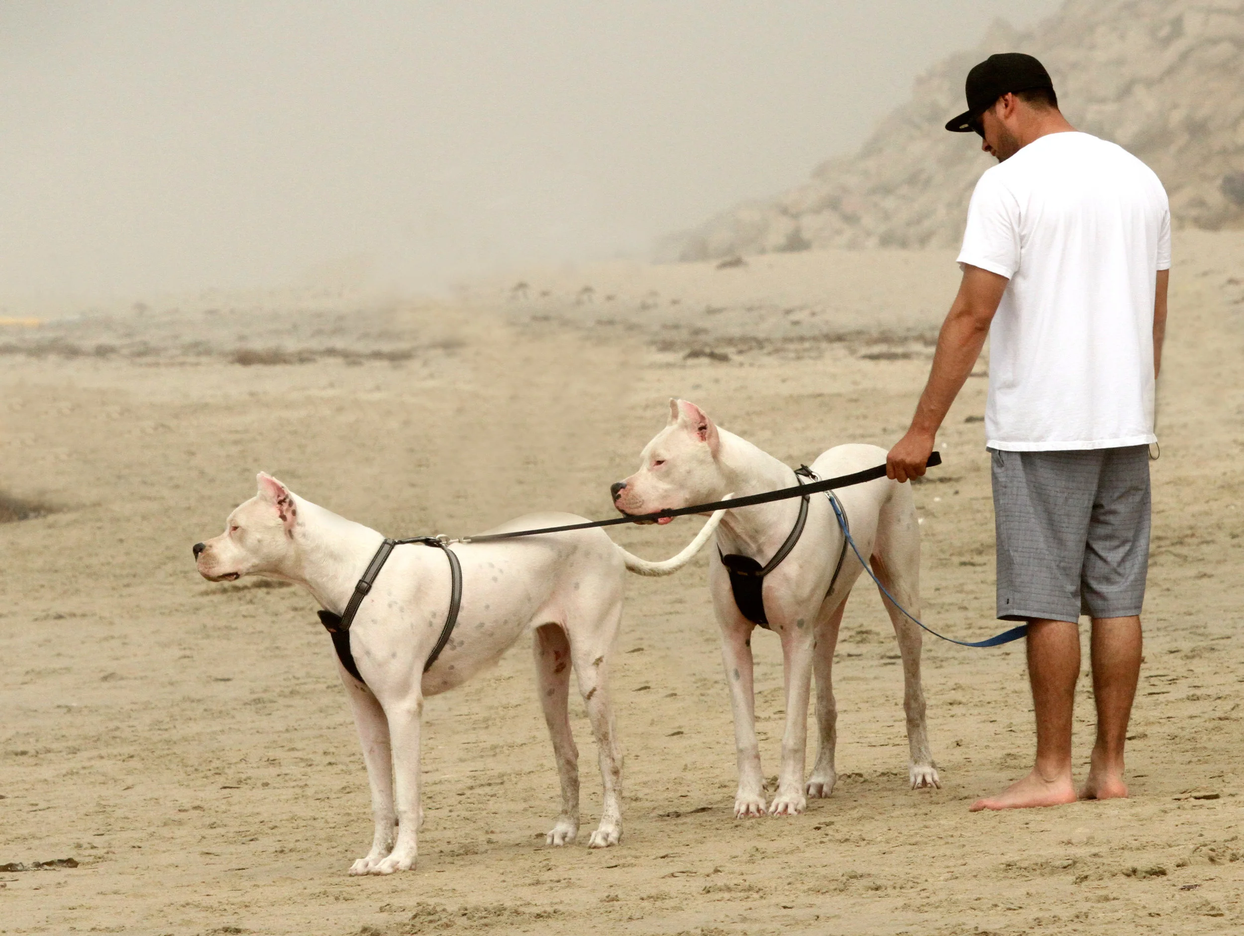  Twins at Dog Beach, Huntington Beach, Ca. 